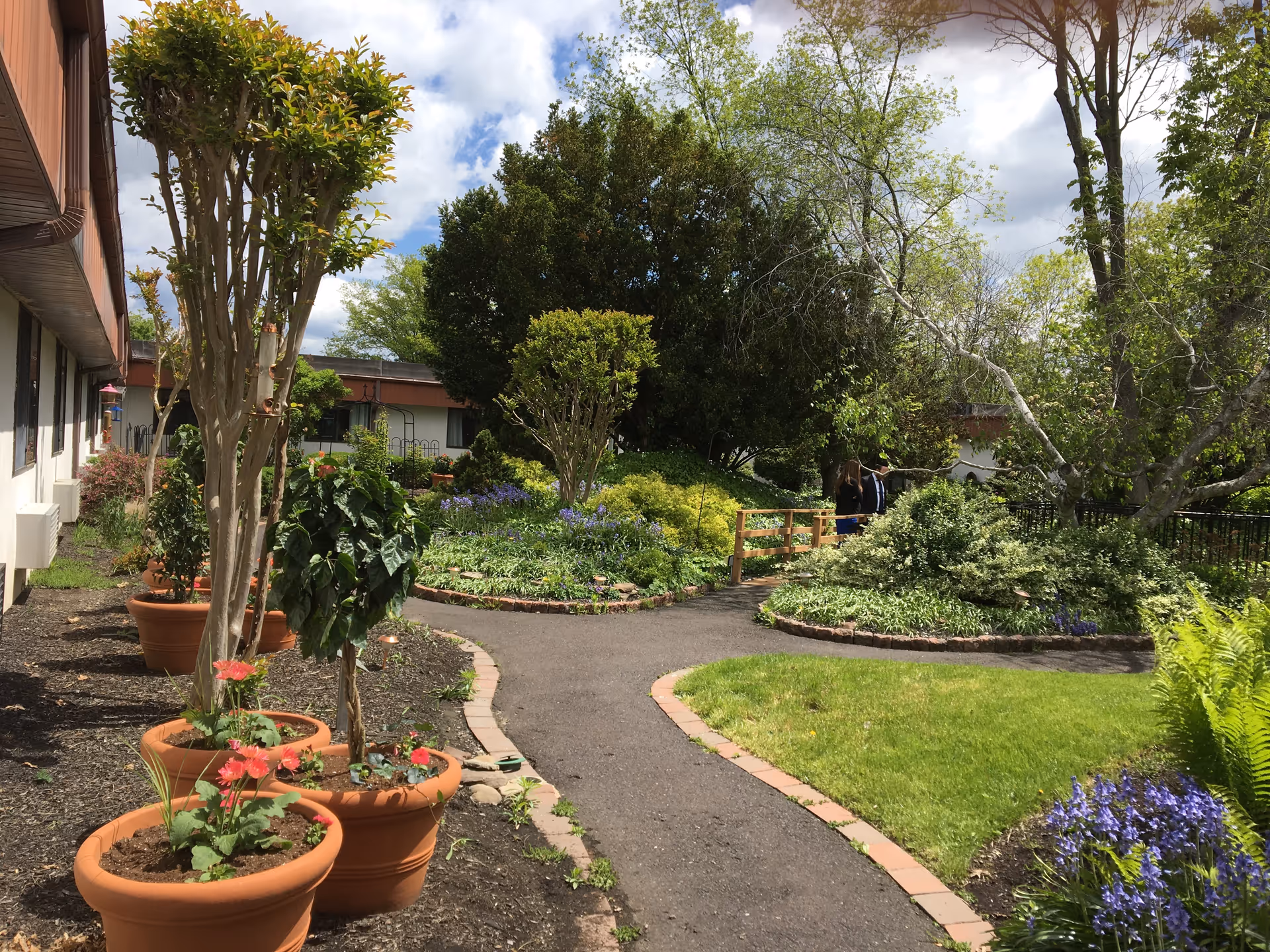 A landscaped courtyard with potted plants, paved walkways, flowering beds and trees beside a building.