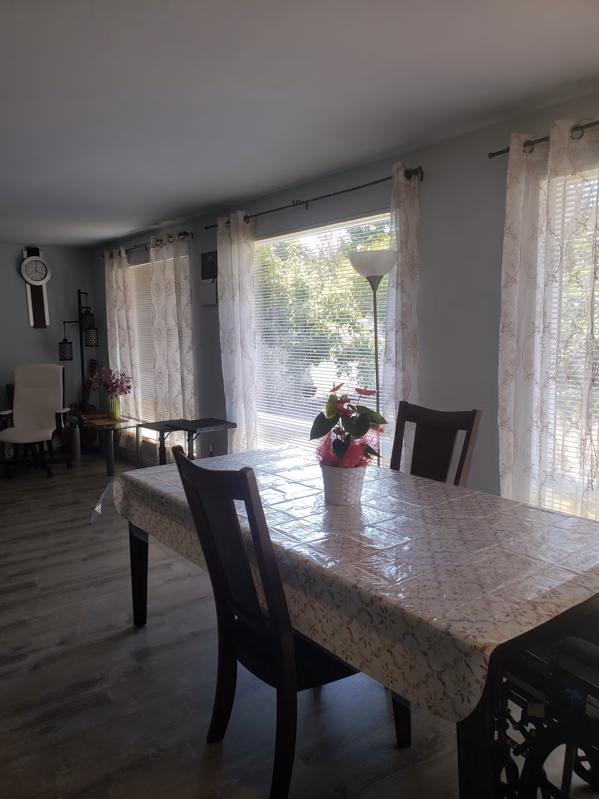 Bright dining room with a long table, chairs, plants, and large windows.