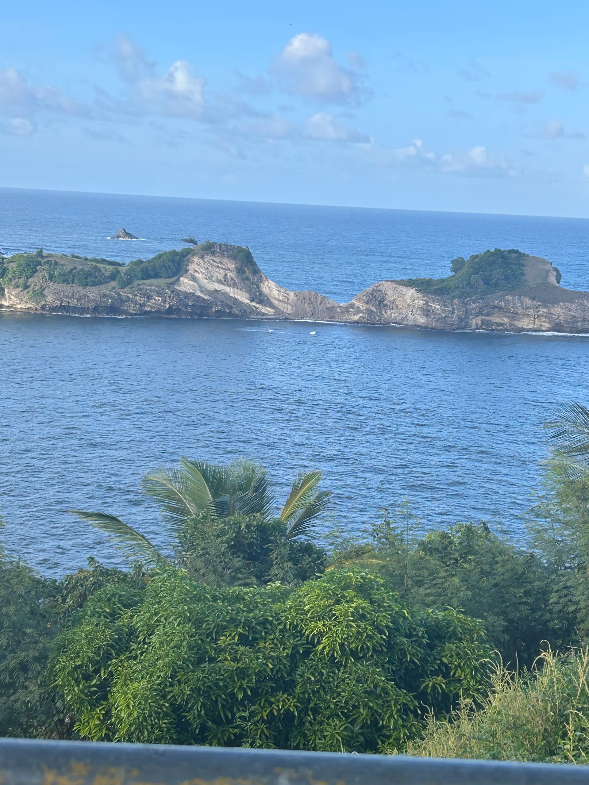 Balcony view overlooking the ocean, rocky shoreline, and dense greenery.