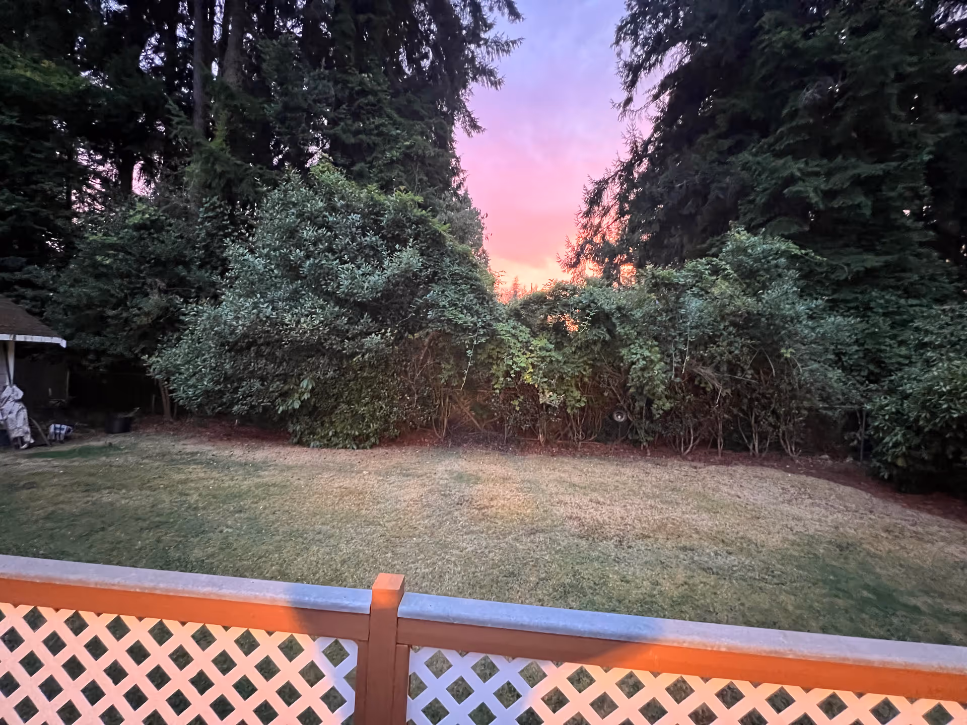Sunset over a backyard with wooden deck railing and dense shrubs.