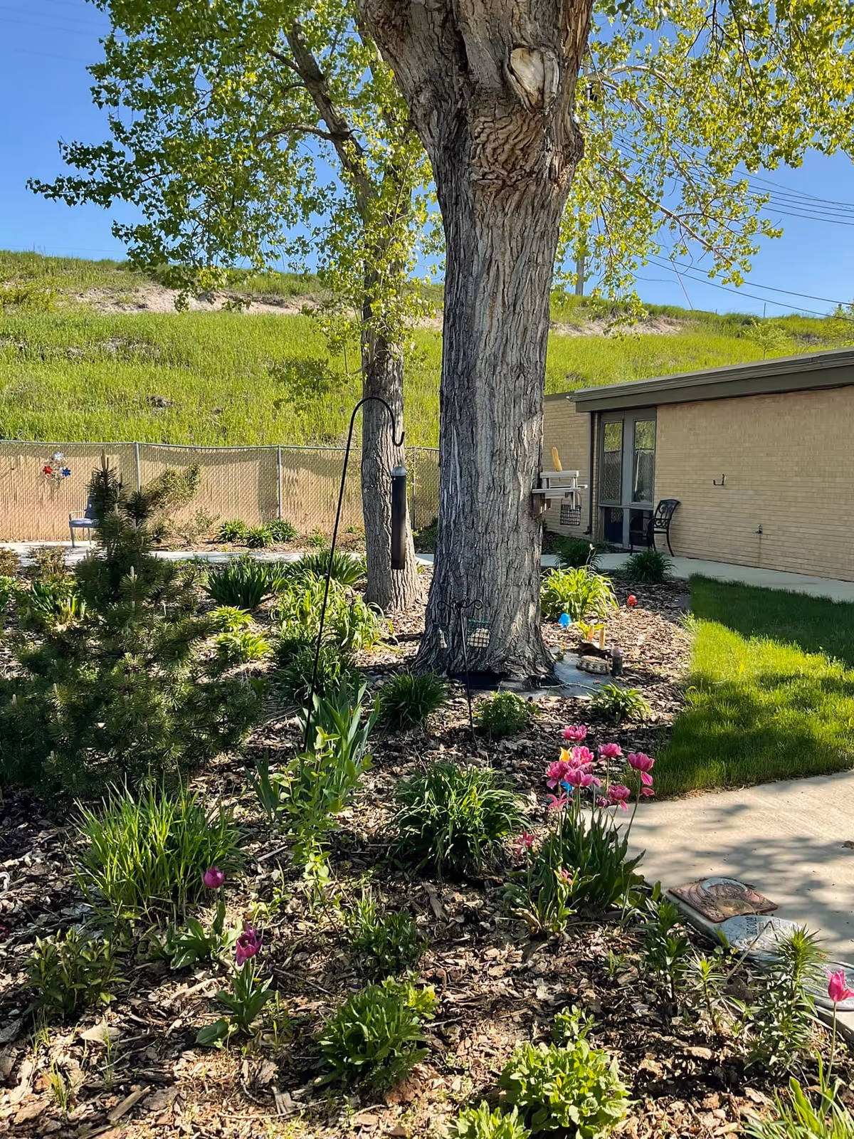 Outdoor garden with trees, flowers, and a brick building in daylight.