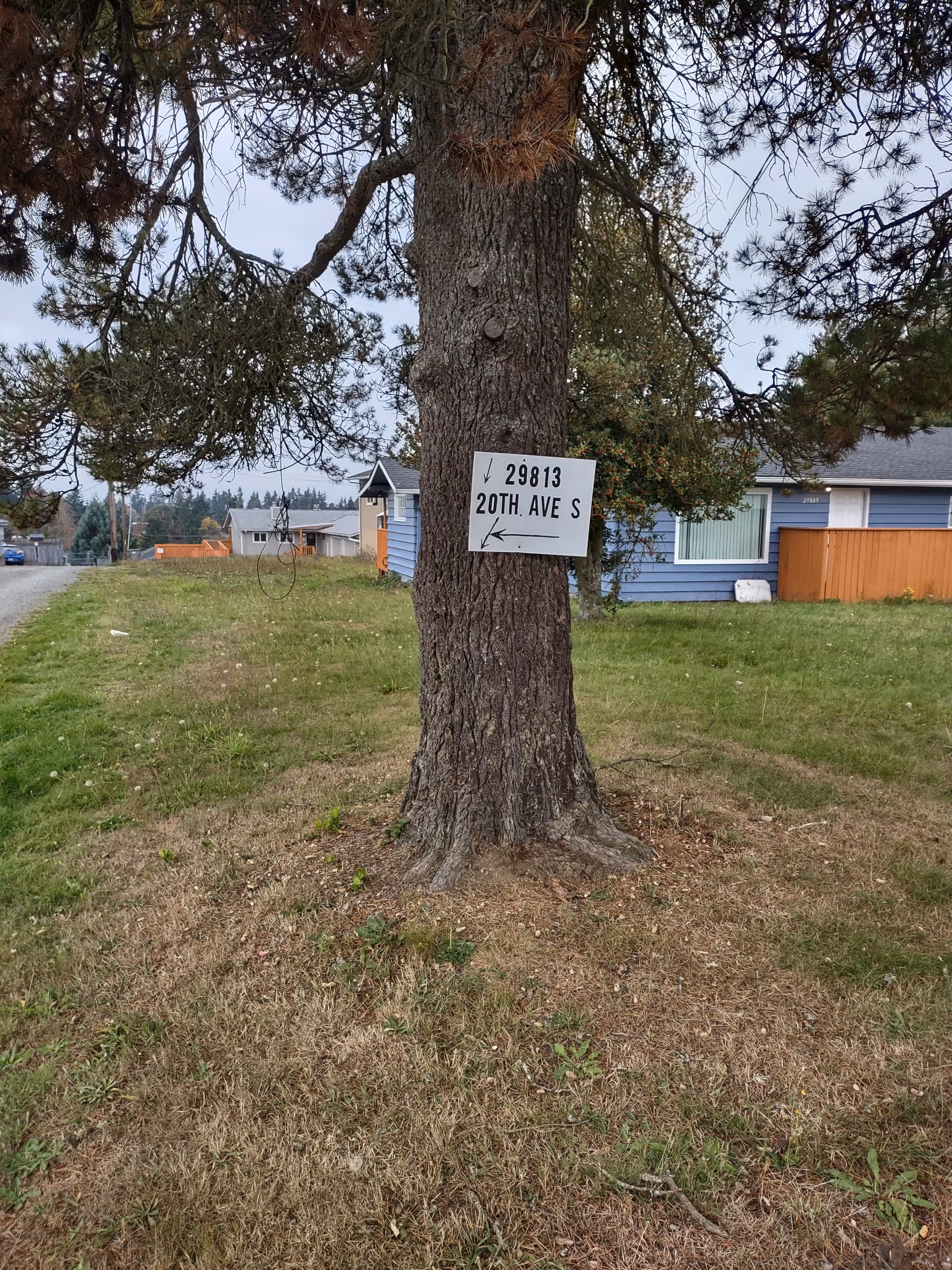 Tree with an address sign mounted on its trunk in a grassy area near houses