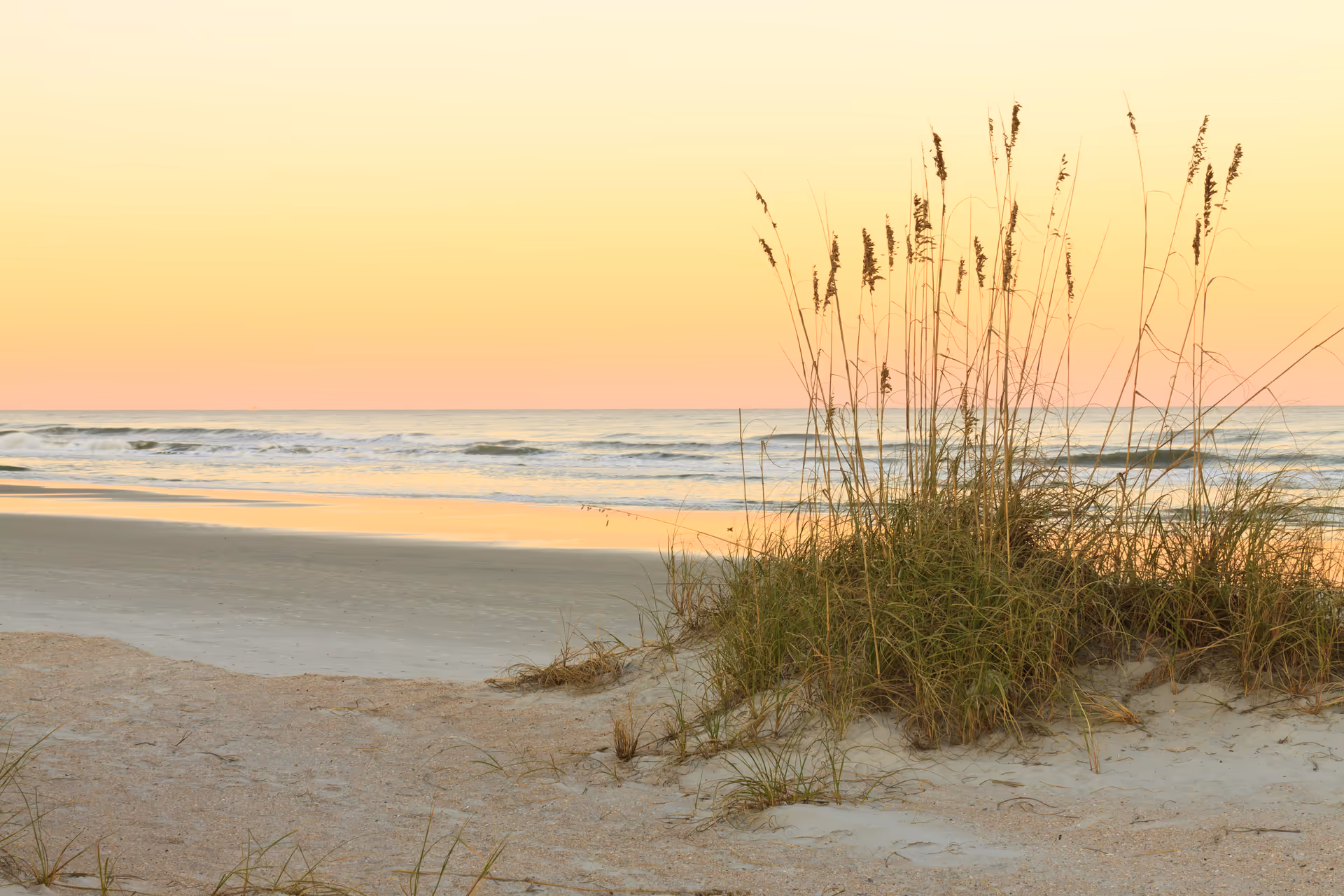 Sunset over a sandy beach with tall beach grass by the shoreline.