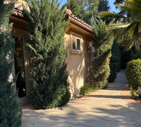 Exterior view of Royal Palms Care Home front entrance with tall evergreens along walkway.