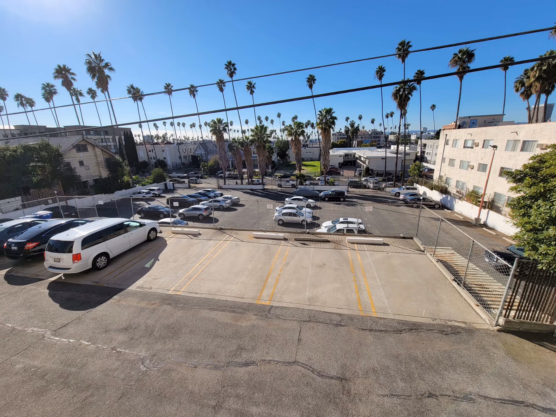View of a parking lot with several parked cars, surrounded by a chain-link fence. Tall palm trees are visible in the background under a clear blue sky, with residential and commercial buildings around the lot.