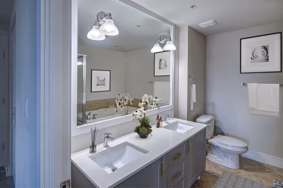 Modern bathroom with a double-sink vanity, large mirror, toilet, and decorative accents.