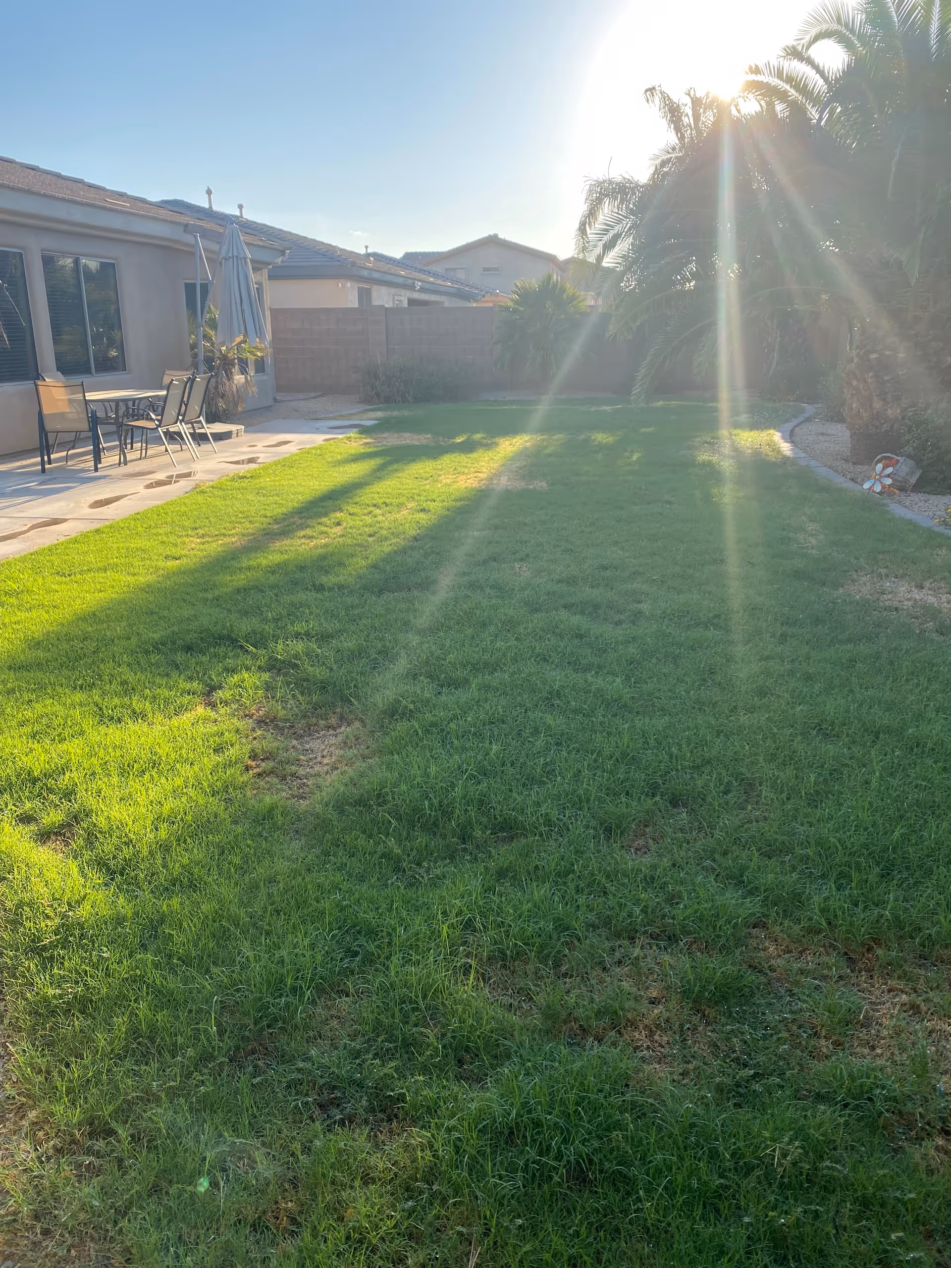 A sunny backyard with green grass, a patio area with outdoor table and chairs, a closed umbrella, and palm trees on the right side. The sun is shining brightly, casting rays across the lawn.
