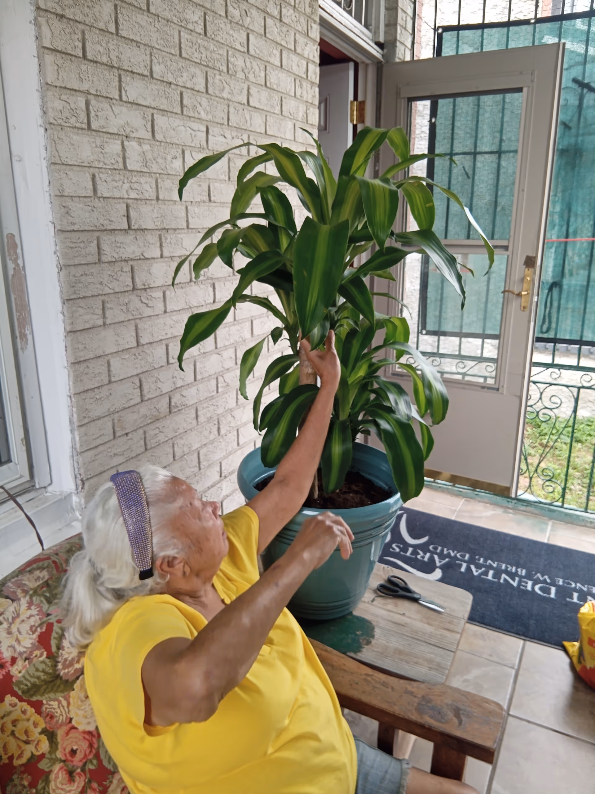 An elderly woman in a yellow shirt sits beside a large potted plant at the porch.