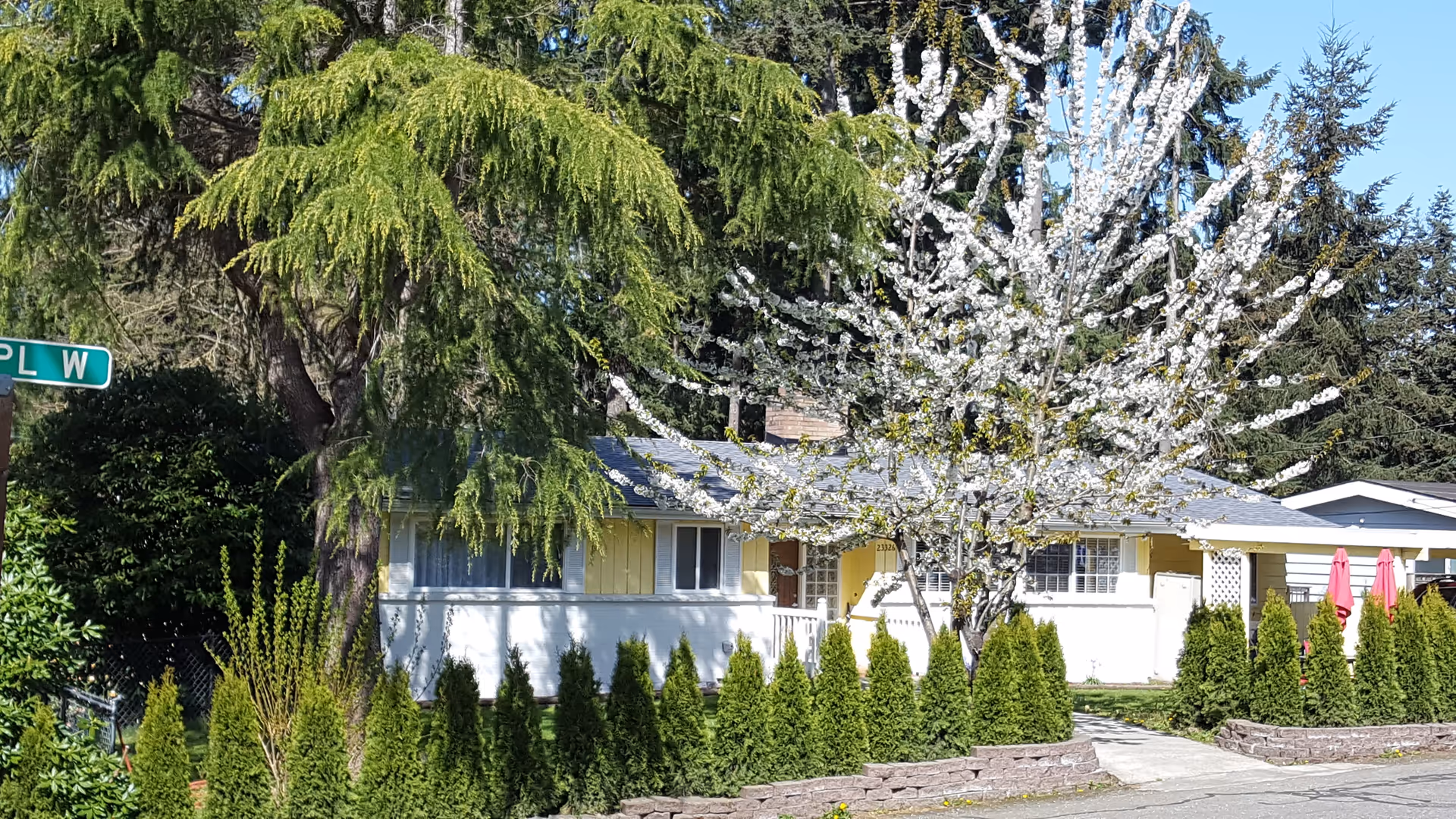 A single-story yellow senior living home with blossoming tree and manicured shrubs in front