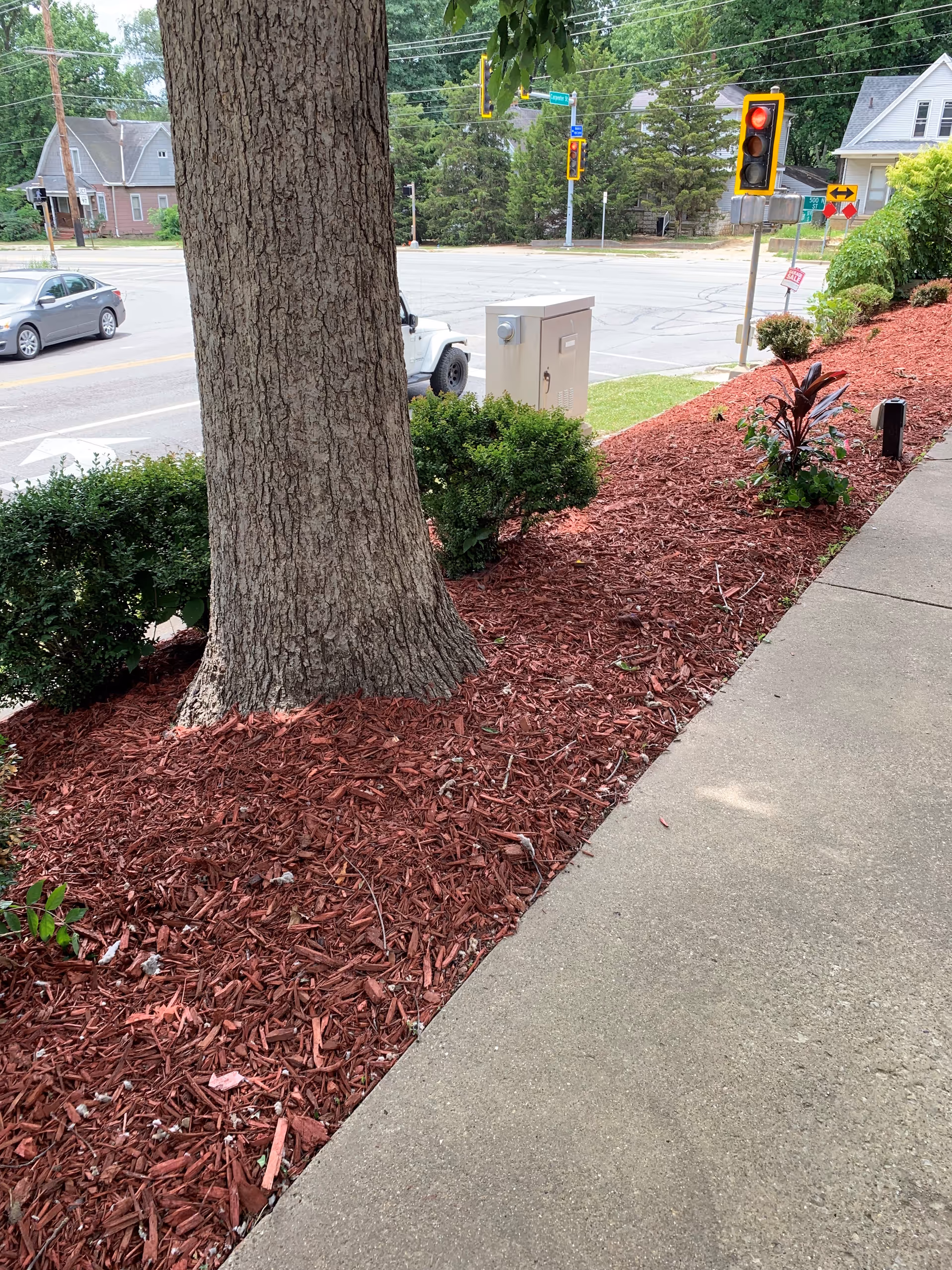 Sidewalk view with a large tree, red mulch, utility box, and street intersection.