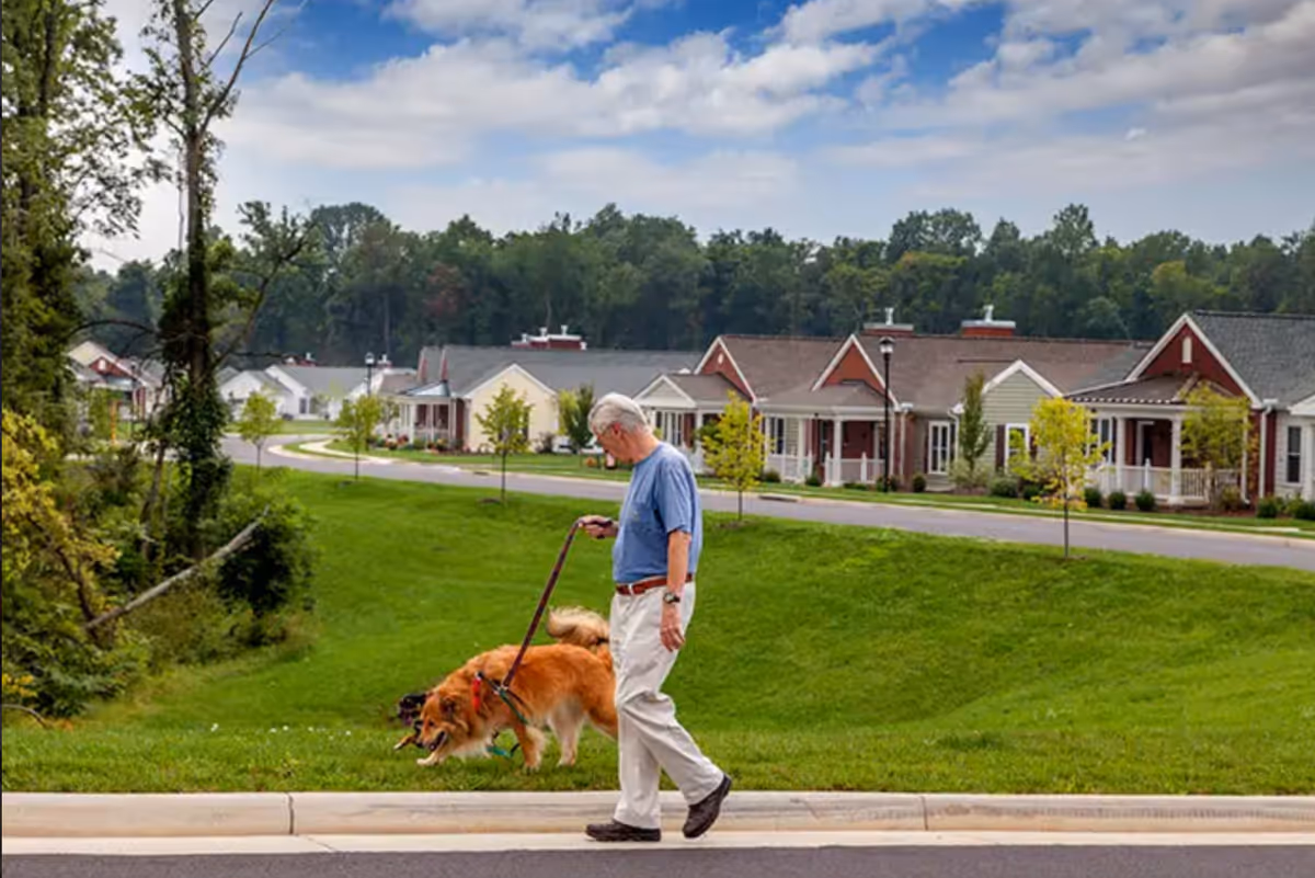 An elderly man walks a dog along a grassy path in front of cottages.