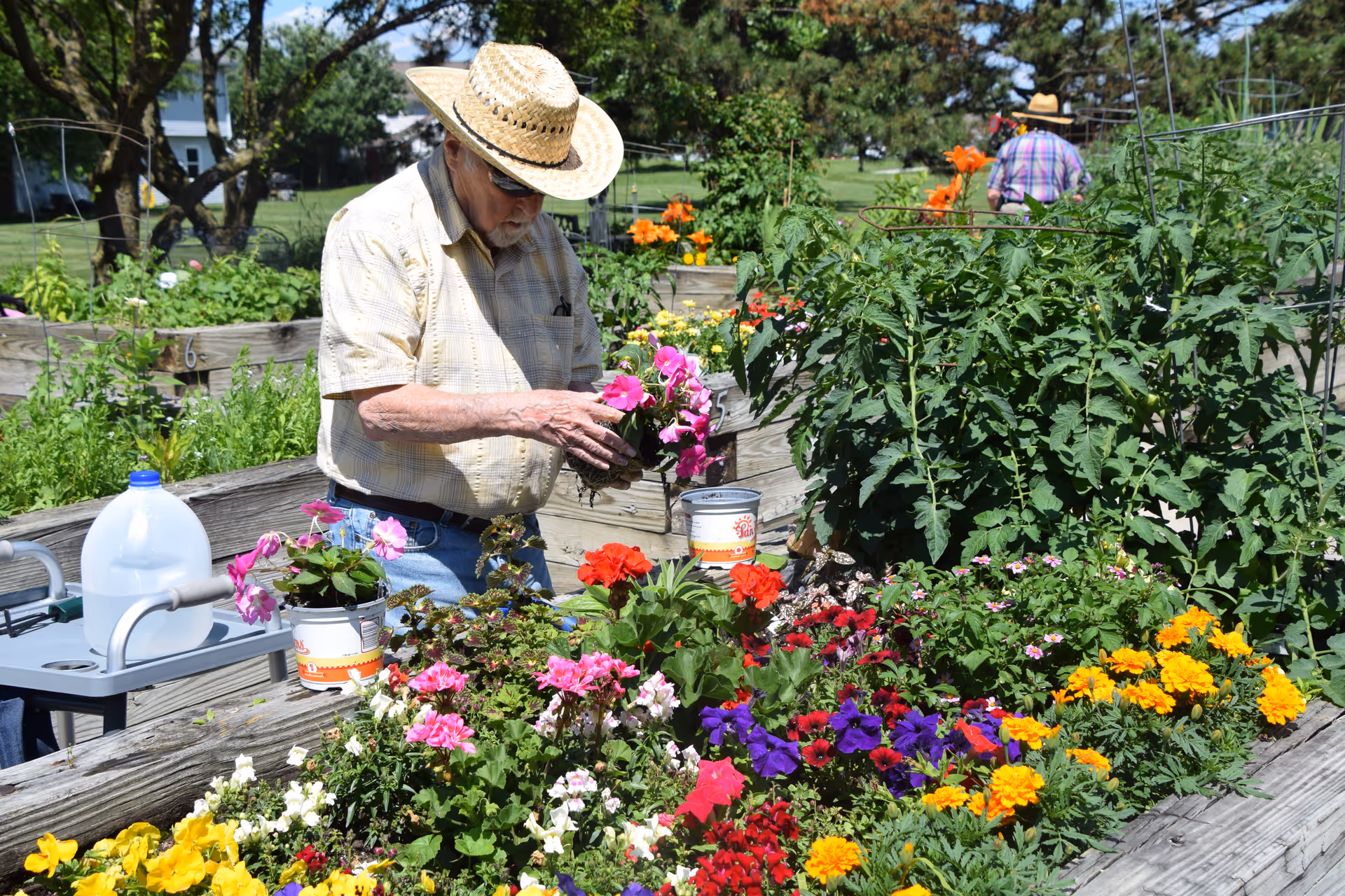 An elderly man wearing a straw hat and sunglasses is gardening in a raised flower bed filled with colorful flowers including pink, red, purple, yellow, and orange blooms. Another person wearing a straw hat and a plaid shirt is seen in the background tending to plants. The garden is outdoors with green grass and trees visible in the background.