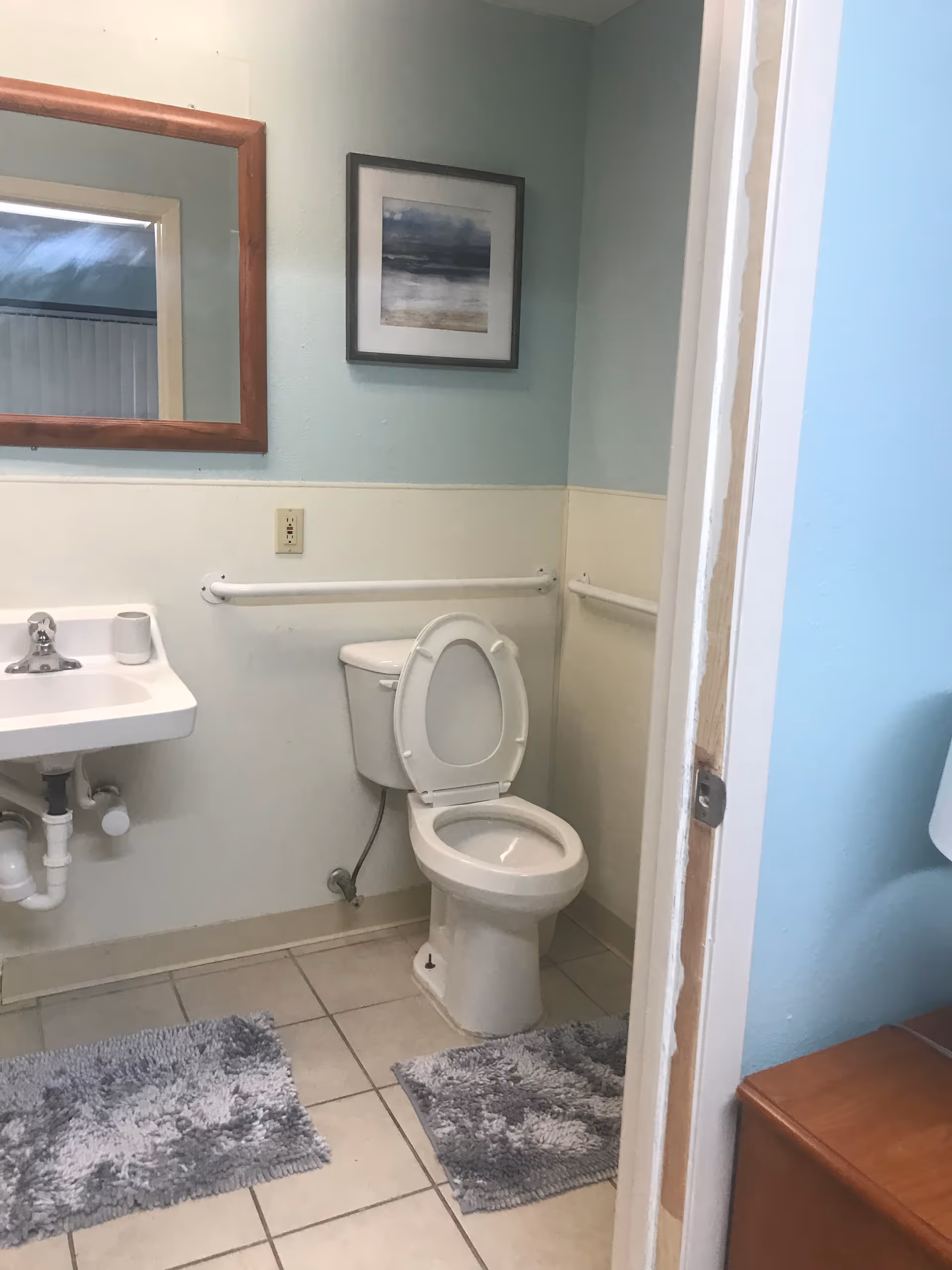 Bathroom in senior living facility with toilet, sink, handrails, rug mats, and framed art.