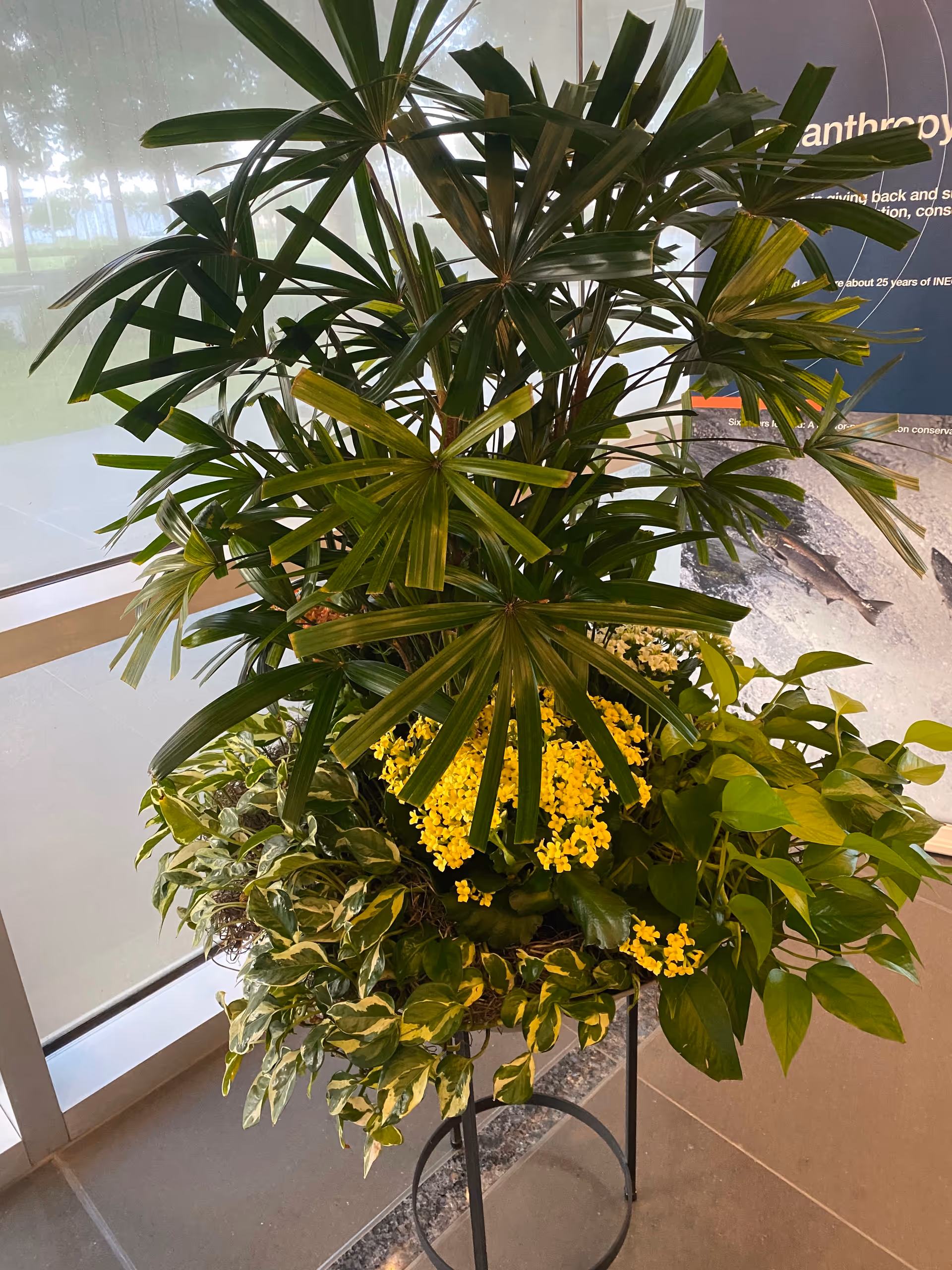 Indoor plant arrangement with tall palm-like leaves and yellow flowers in a stand near glass wall