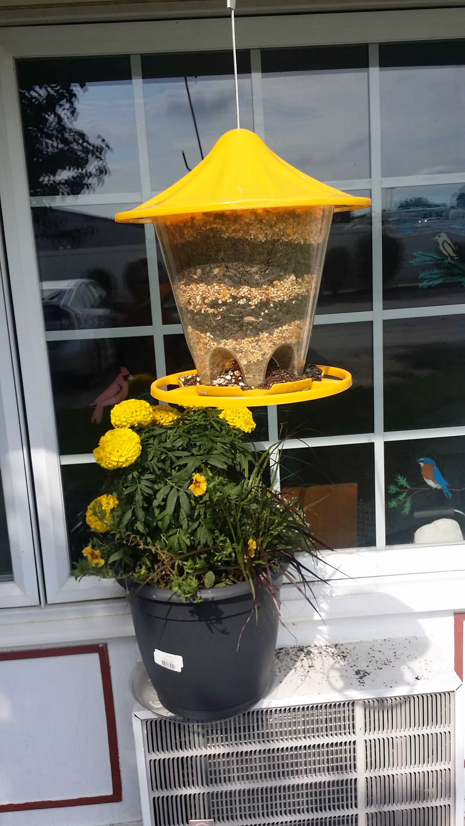 Yellow bird feeder hangs above a potted marigold plant outside a care center window.