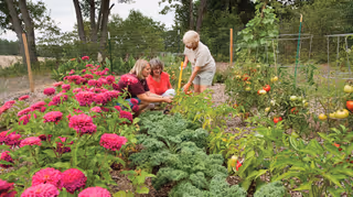 Seniors tend a colorful outdoor garden with flowers and vegetables.