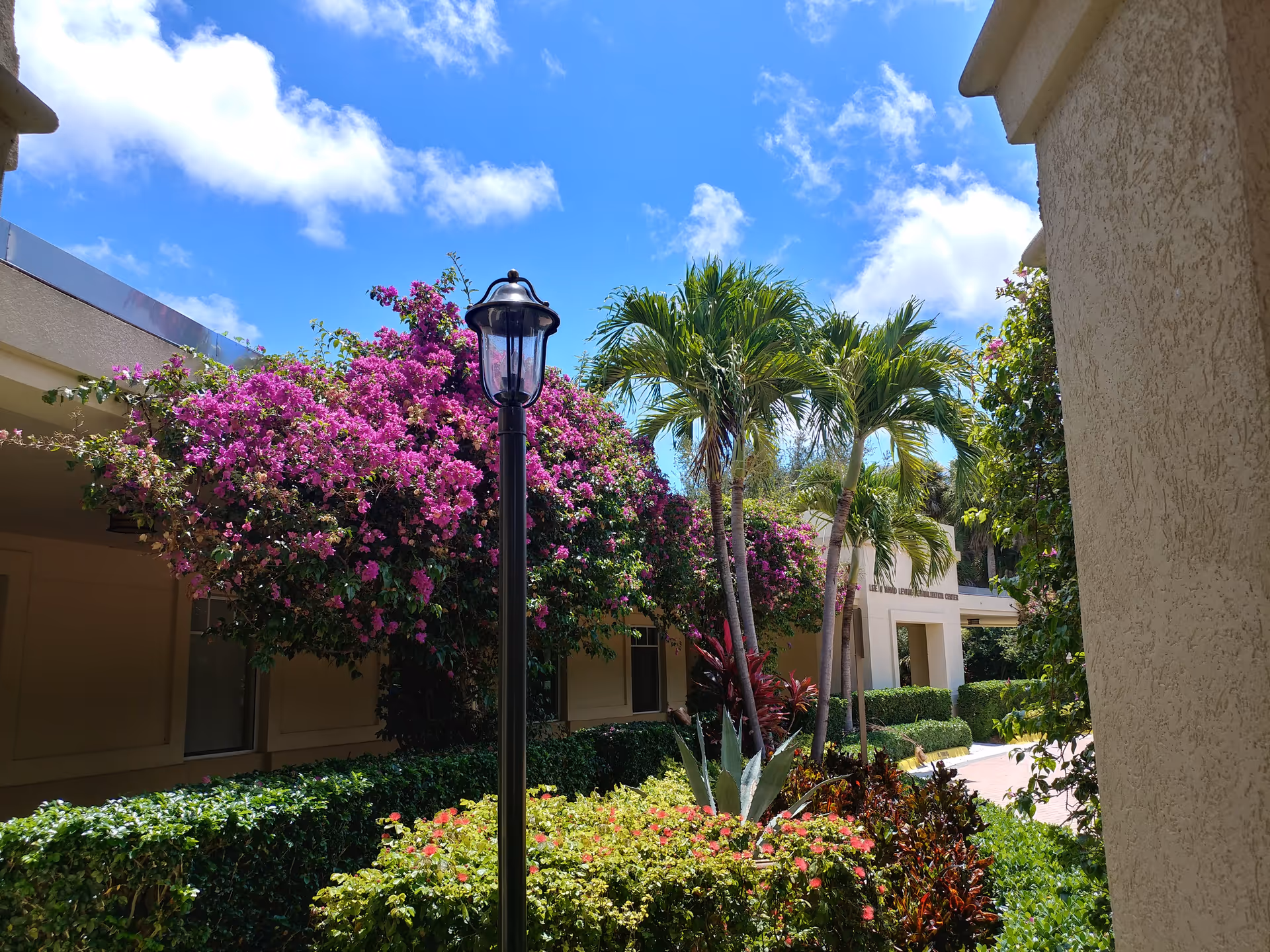 Sunny outdoor courtyard with palm trees, flowering bushes, and a walkway beside building wings.