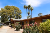 One-story tan building with a gravel path, flowering shrubs, and tall palm trees outside.