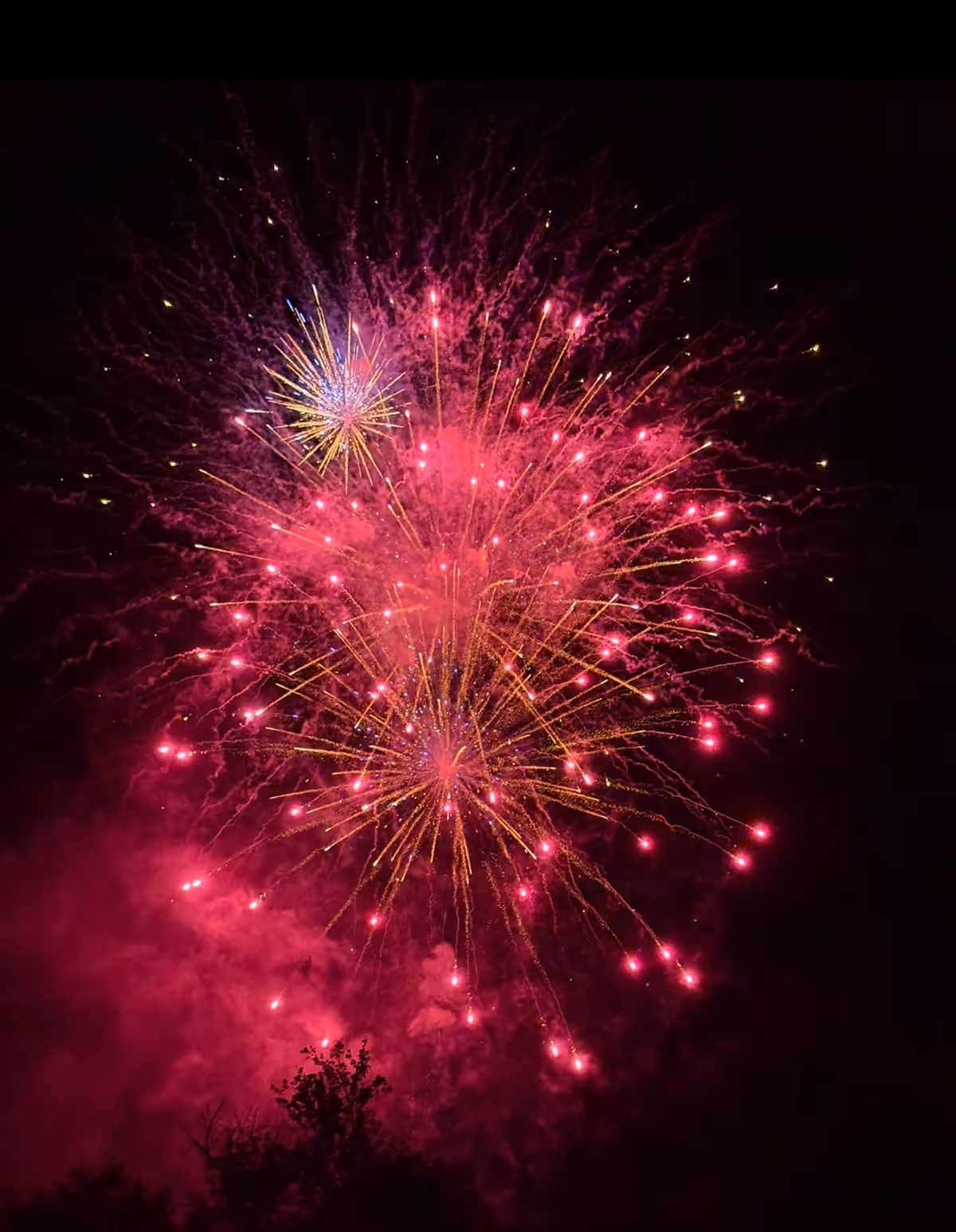 Night sky bursting with pink and purple fireworks above silhouetted trees.