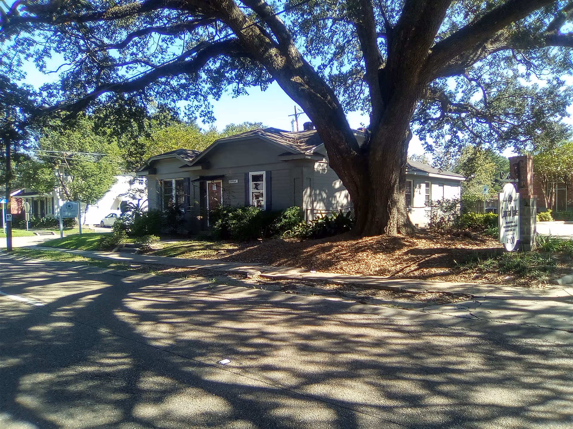 Exterior view of Capital Oaks Nursing & Rehabilitation Center with a large tree in front.