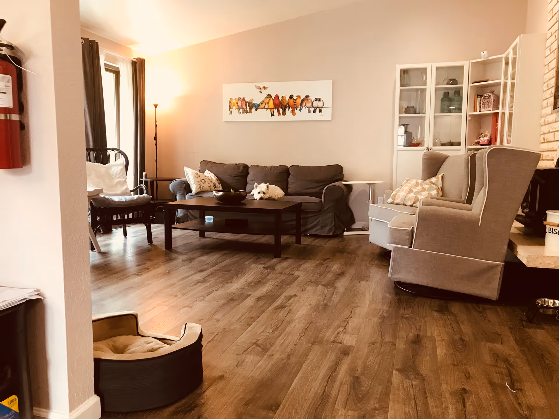 Cozy living room with sofa, armchairs, coffee table, and a small white dog.