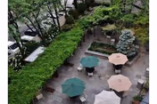 An outdoor courtyard with tables, umbrellas, and surrounding hedges.