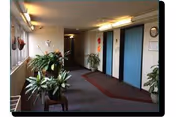 Indoor hallway of Ohau Sholom Apartments with potted plants, carpet, and blue doors.