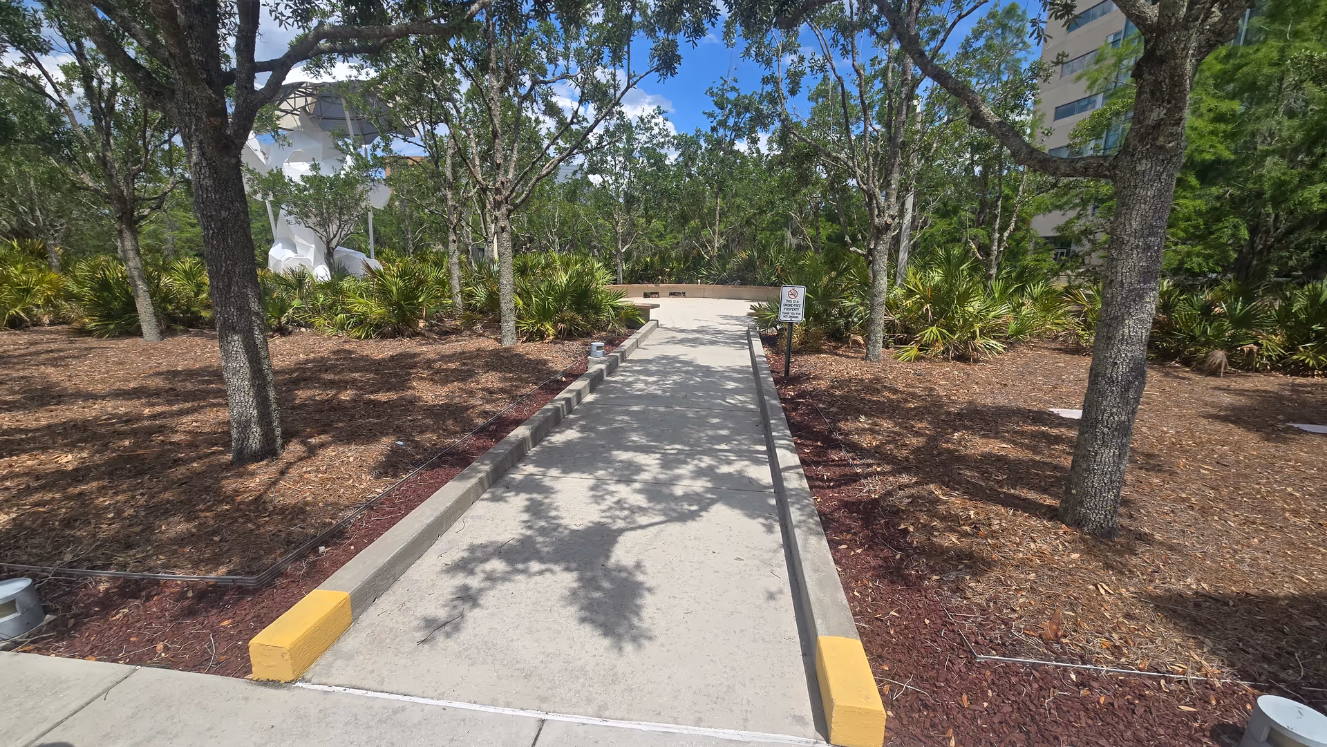 A sunlit paved walkway lined with trees and shrubs toward a building.