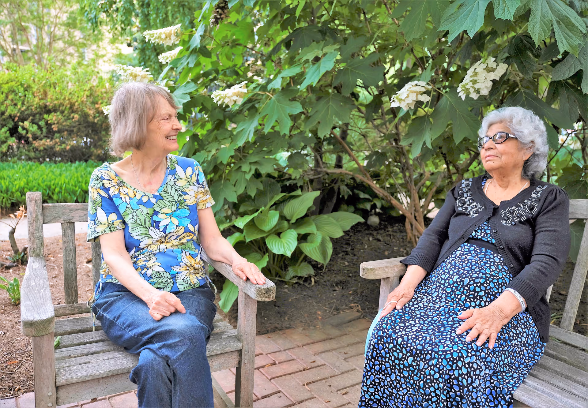 Two elderly women sitting on wooden benches in a garden area, surrounded by green leafy plants and white flowers. One woman is wearing a blue floral shirt and jeans, smiling and looking at the other woman, who is wearing a black cardigan and a blue patterned dress with glasses.