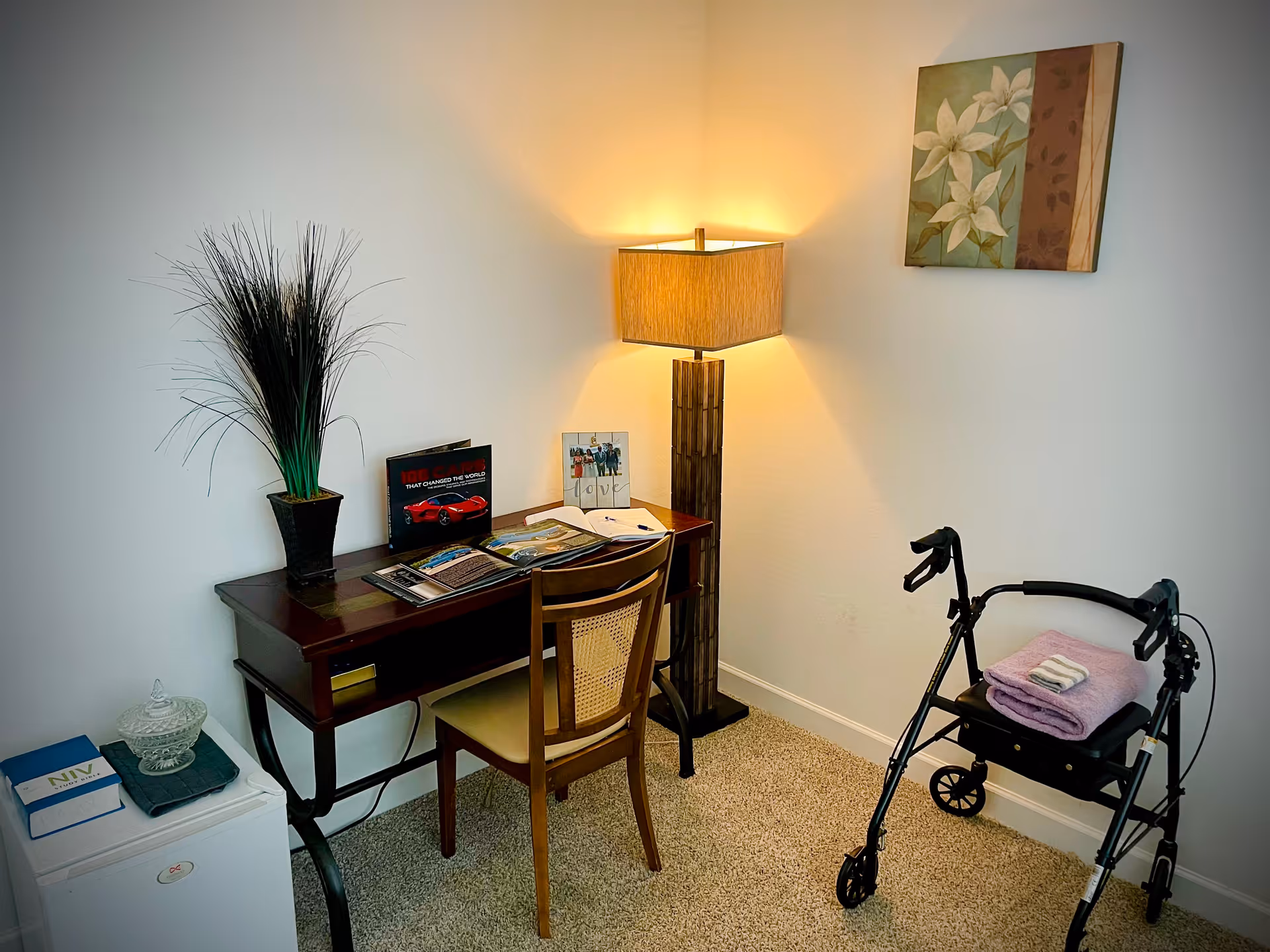 Desk area with lamp, plant, magazines, and a walker in a resident room.