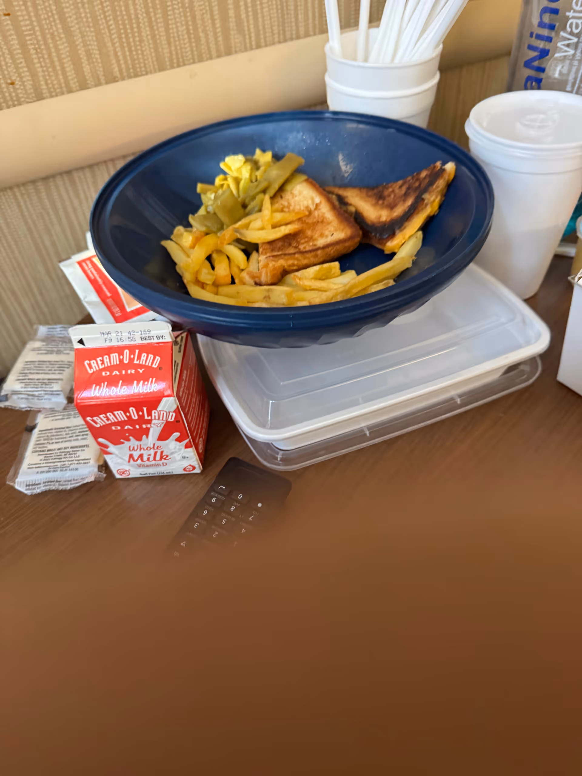 Blue plate with sandwich and fries, milk cartons, cups, and plastic containers on a table.