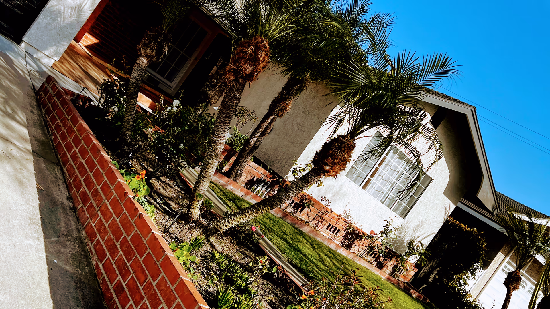 Exterior view of Select Senior Care II with palm trees, lawn, and walkway.
