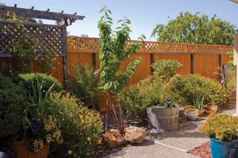 Outdoor garden with potted plants along a wooden fence and gravel ground.