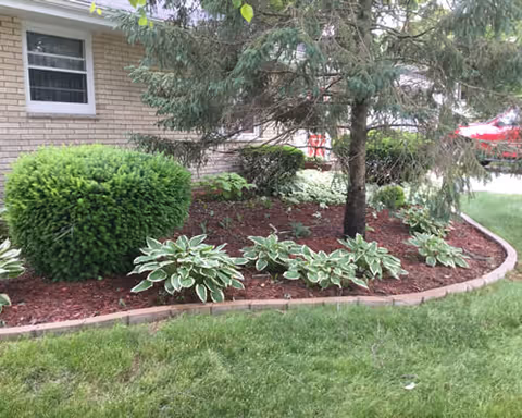 Exterior view of a landscaped garden bed with shrubs along the building.