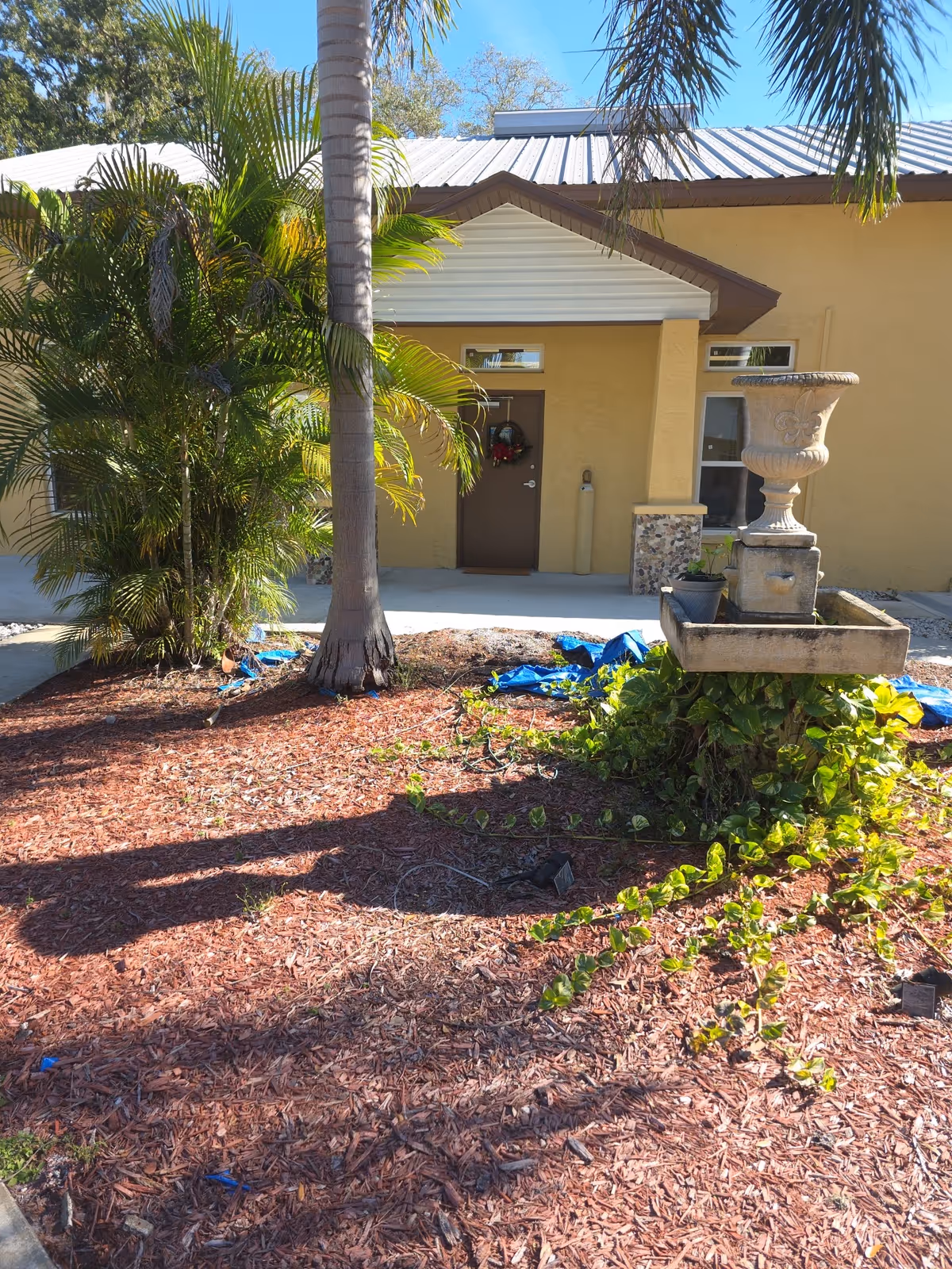 Exterior view of The Florry House with palm trees, front door, and fountain.