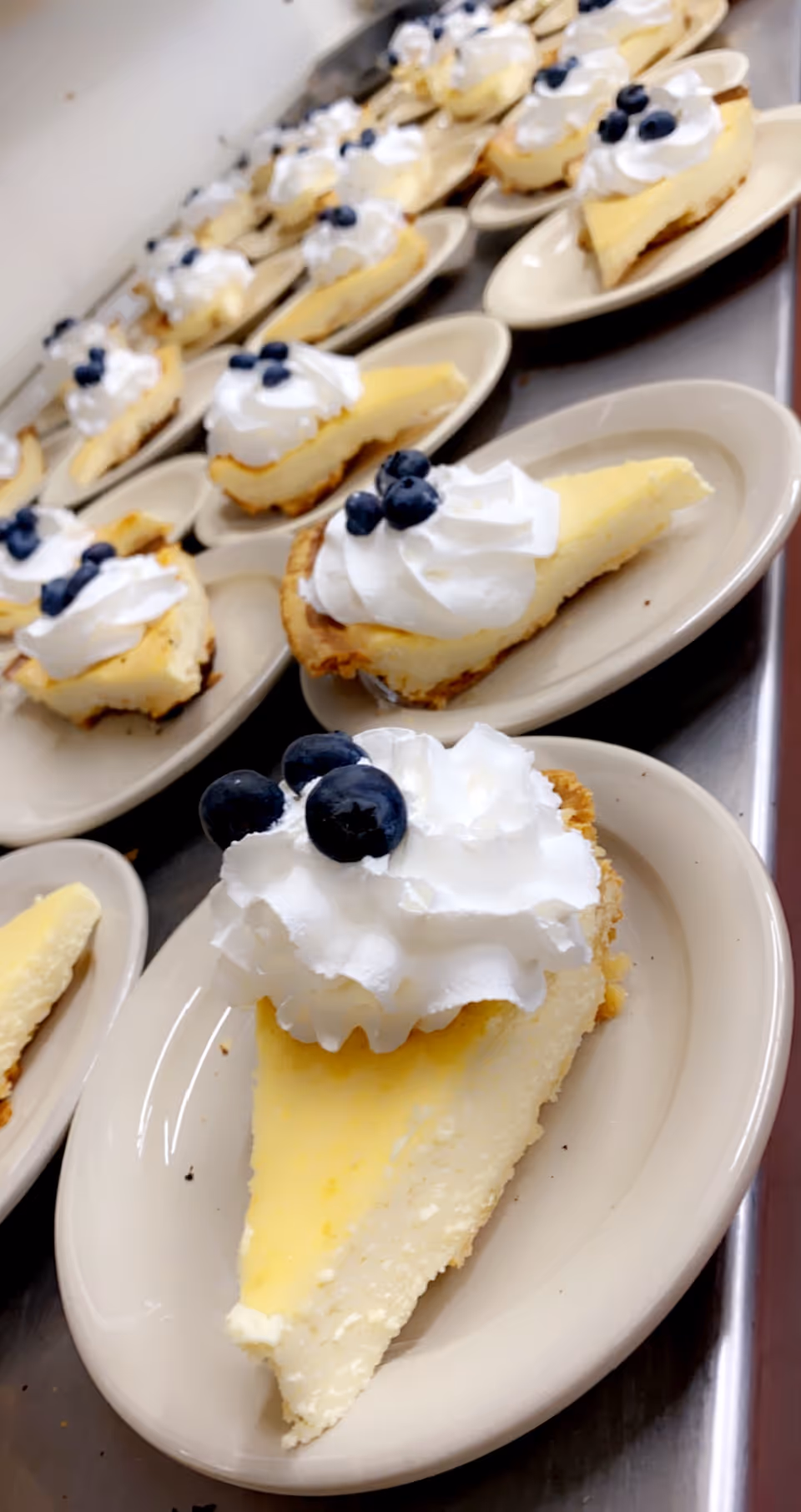 Multiple slices of cheesecake topped with whipped cream and blueberries, each served on a white plate arranged in rows on a metal surface.