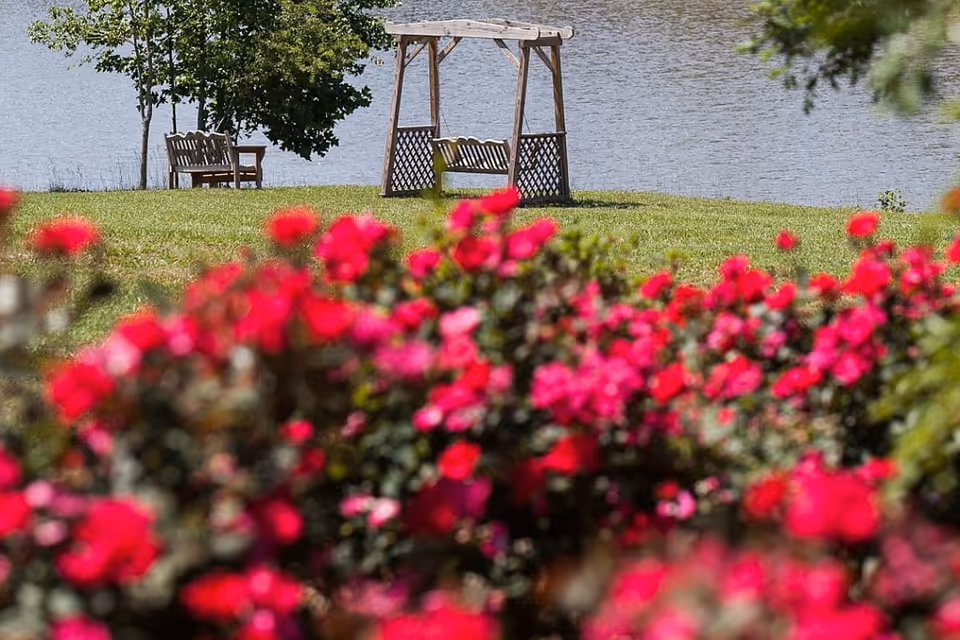 A scenic outdoor area featuring a wooden swing bench under a pergola and a wooden chair near a tree, with a body of water in the background and vibrant red flowers in the foreground.
