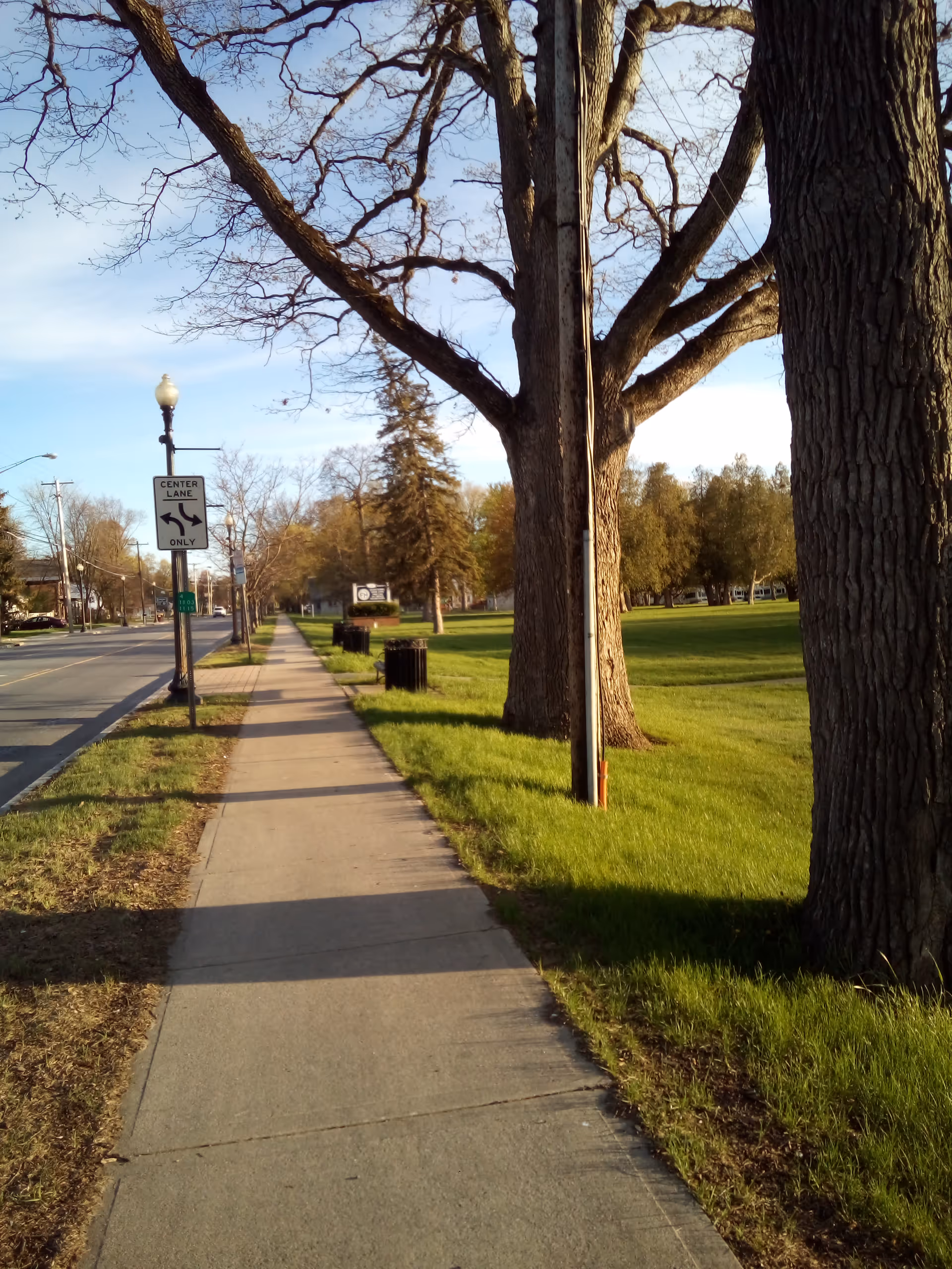 Sunny sidewalk along a street with trees, grass, and lampposts.