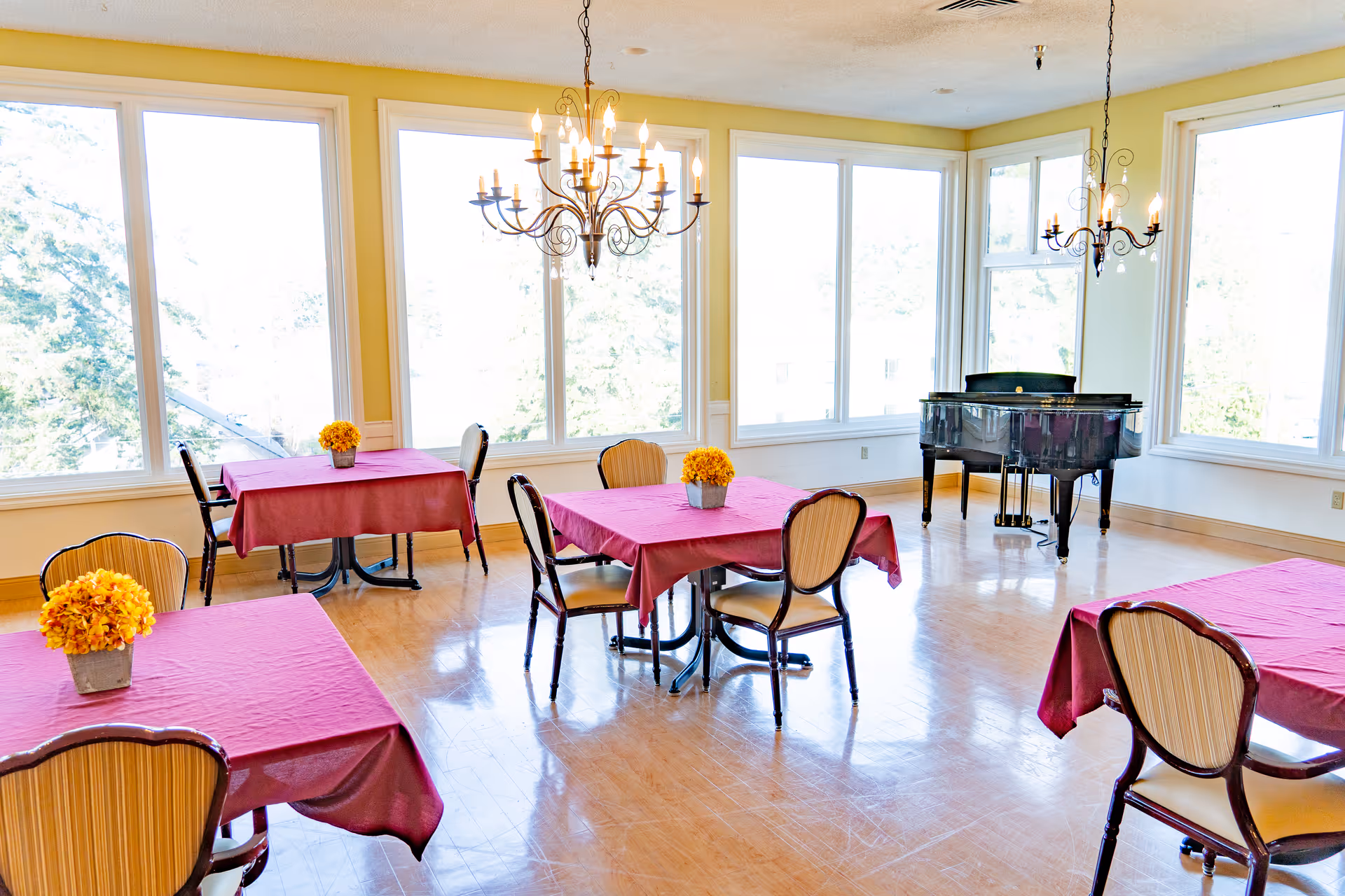 A bright dining room with large windows letting in natural light. The room has several tables covered with red tablecloths, each adorned with a small pot of yellow flowers. There are elegant chairs around the tables and two chandeliers hanging from the ceiling. A black grand piano is positioned near the windows.