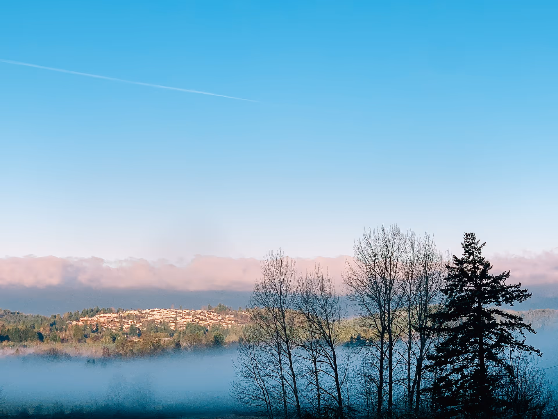 Tranquil outdoor landscape with bare trees, fog, and a distant hillside under blue sky.