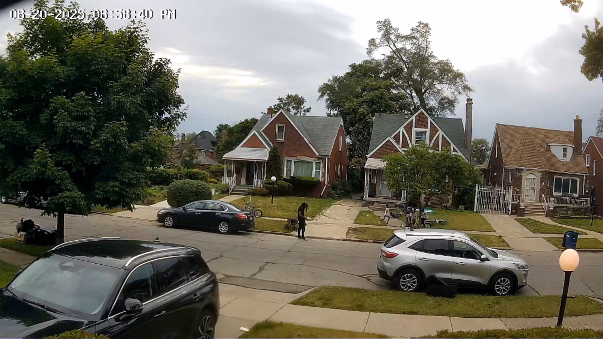 Residential street with parked cars, trees, and front-facing houses.