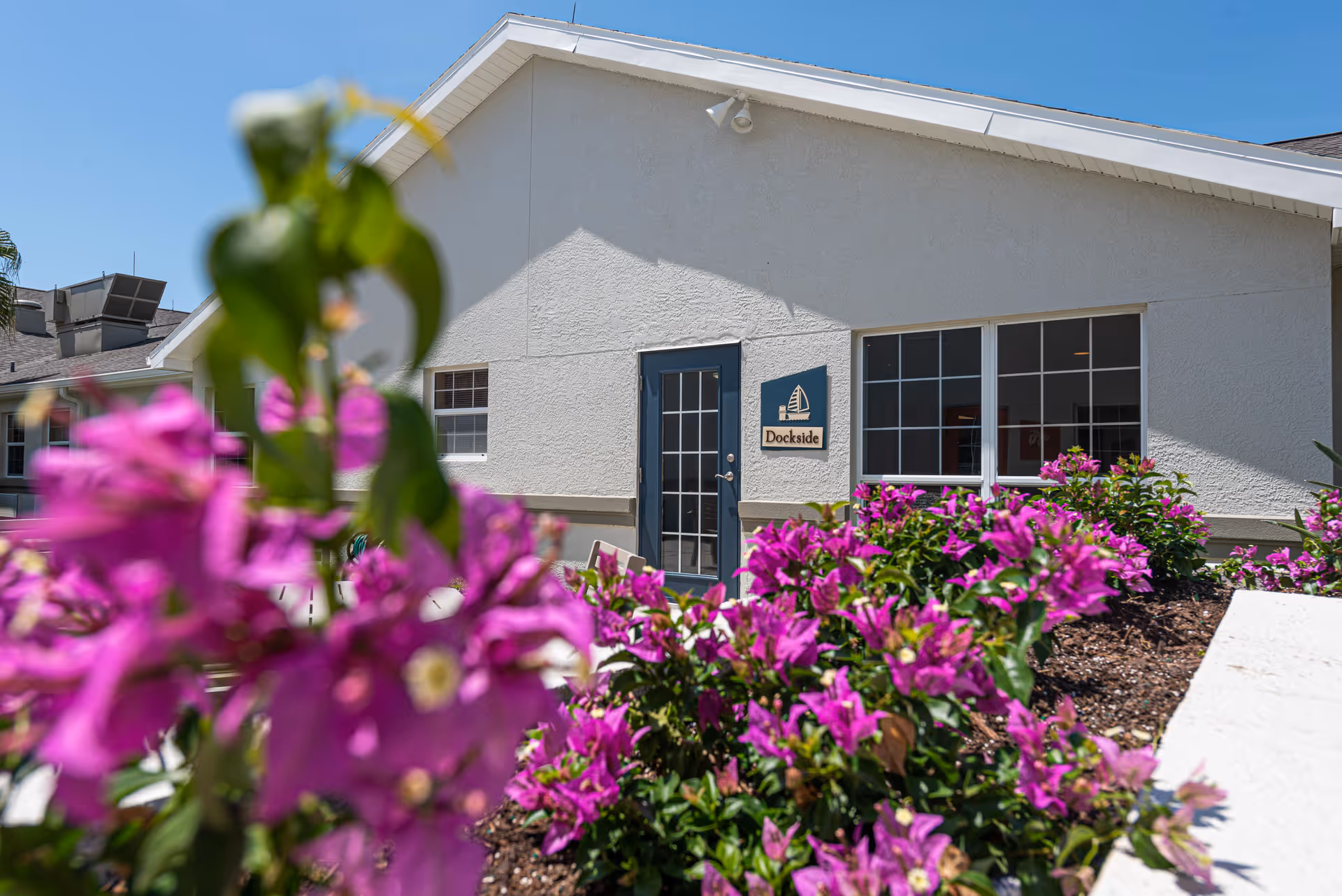 White single-story building with blue door and vibrant pink flowers in foreground