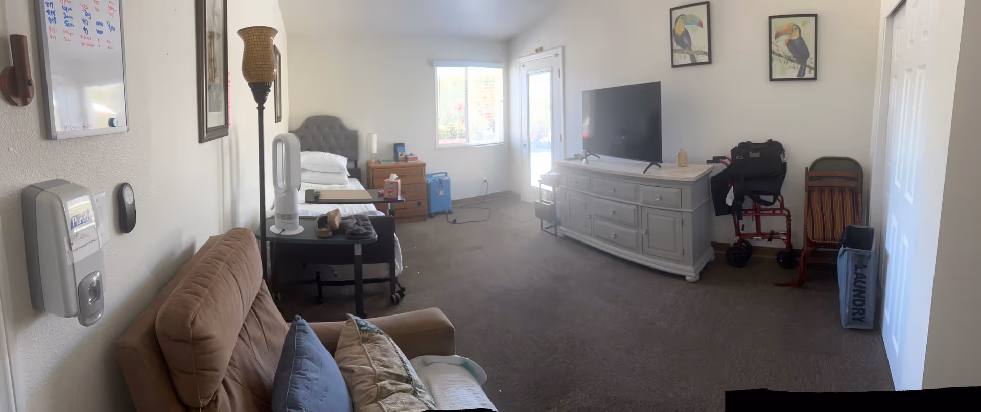 Small senior living suite with sofa, bed, dresser, TV, and bright windows.