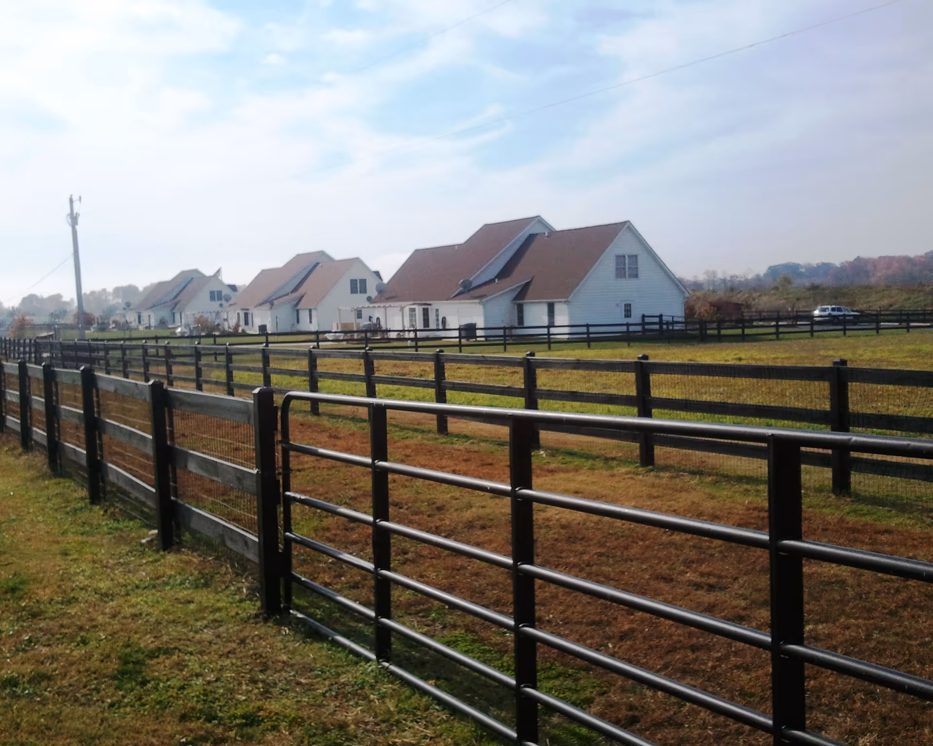 Row of light colored houses with pitched roofs behind wooden fences.