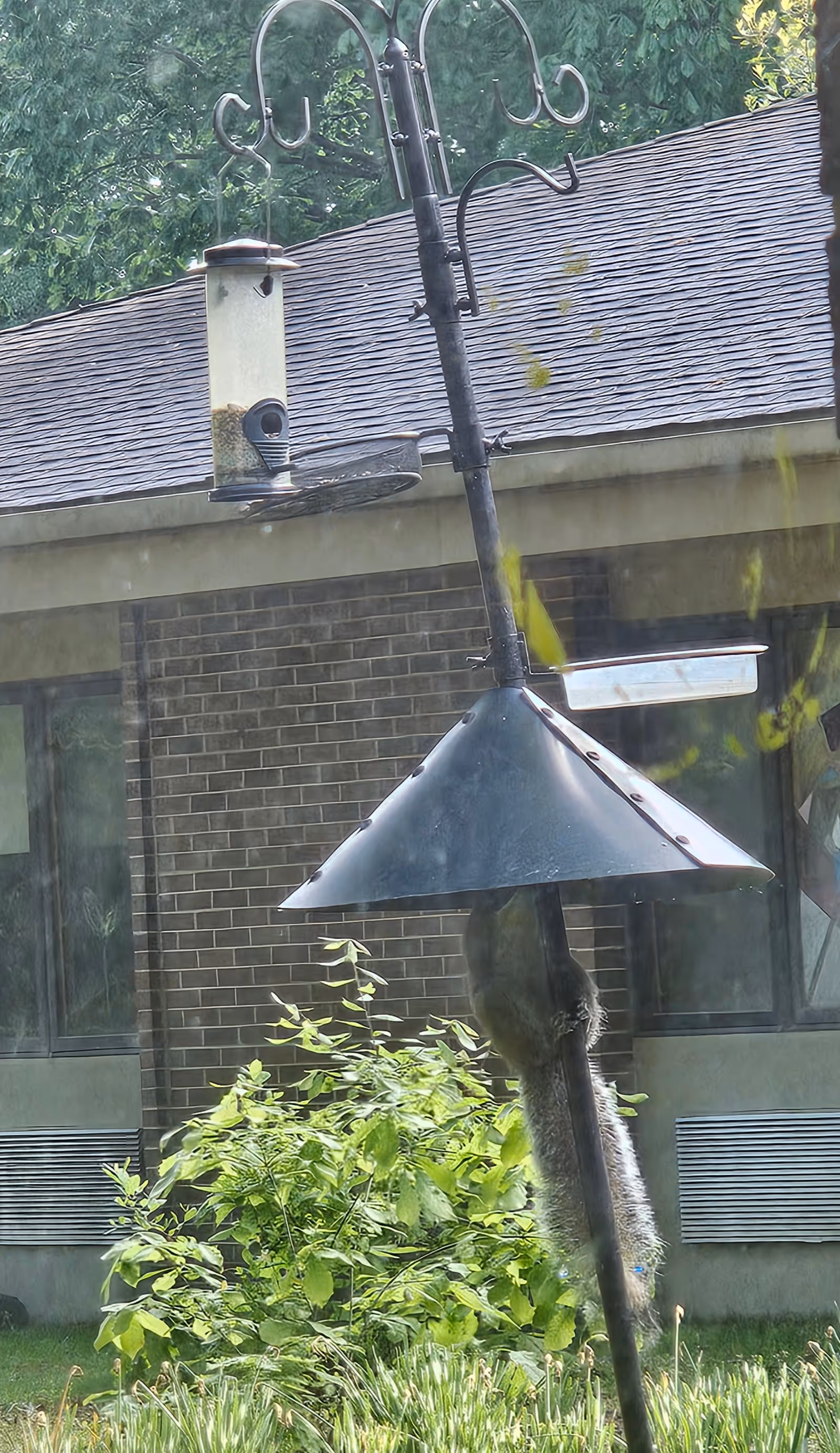 Outdoor scene at Maryview Nursing Care Center with a metal lamp post and greenery.