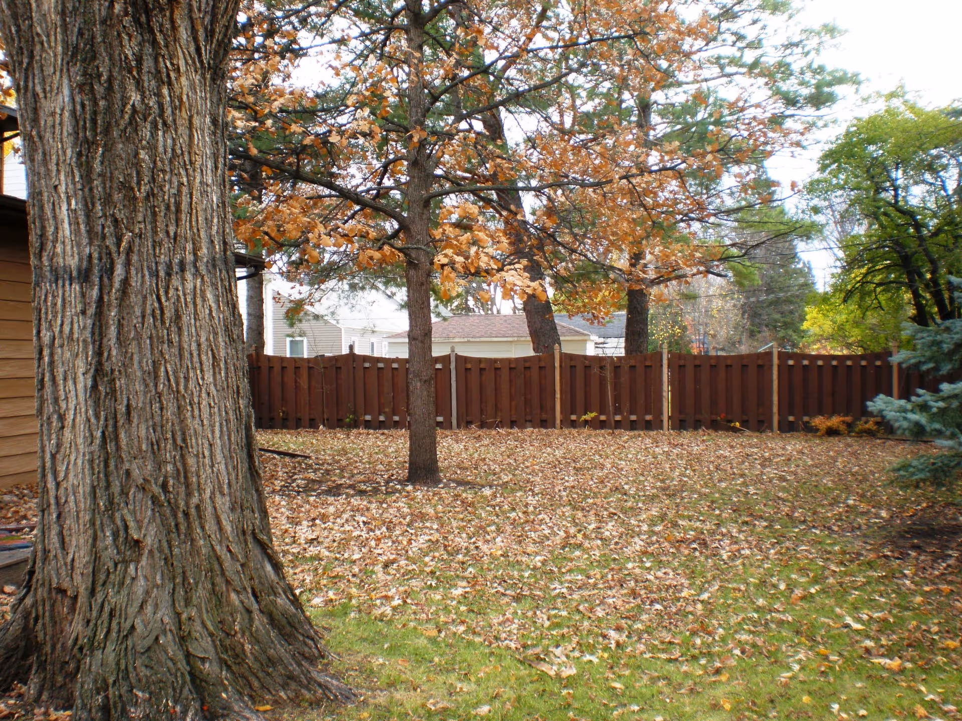 Backyard of a senior living facility with a wooden fence, trees, and autumn leaves.