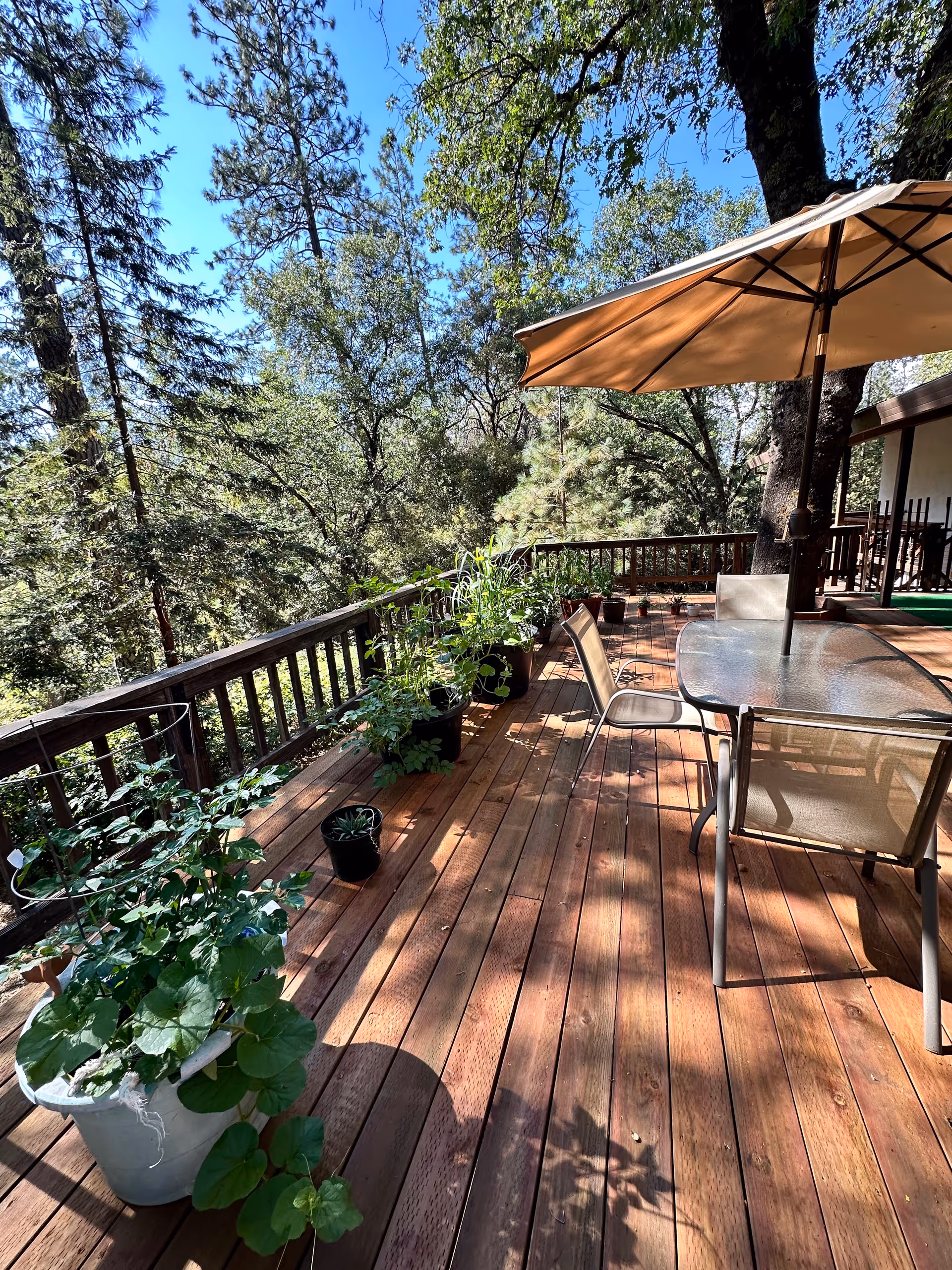 Wooden outdoor deck with potted plants, a glass table, chairs and a large umbrella surrounded by trees.
