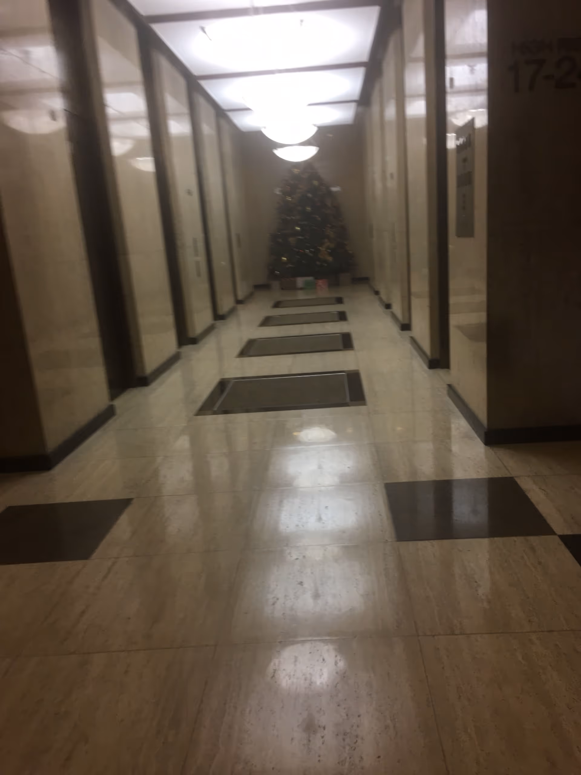 Long indoor hallway with glass doors, overhead lights, and a Christmas tree at the end.