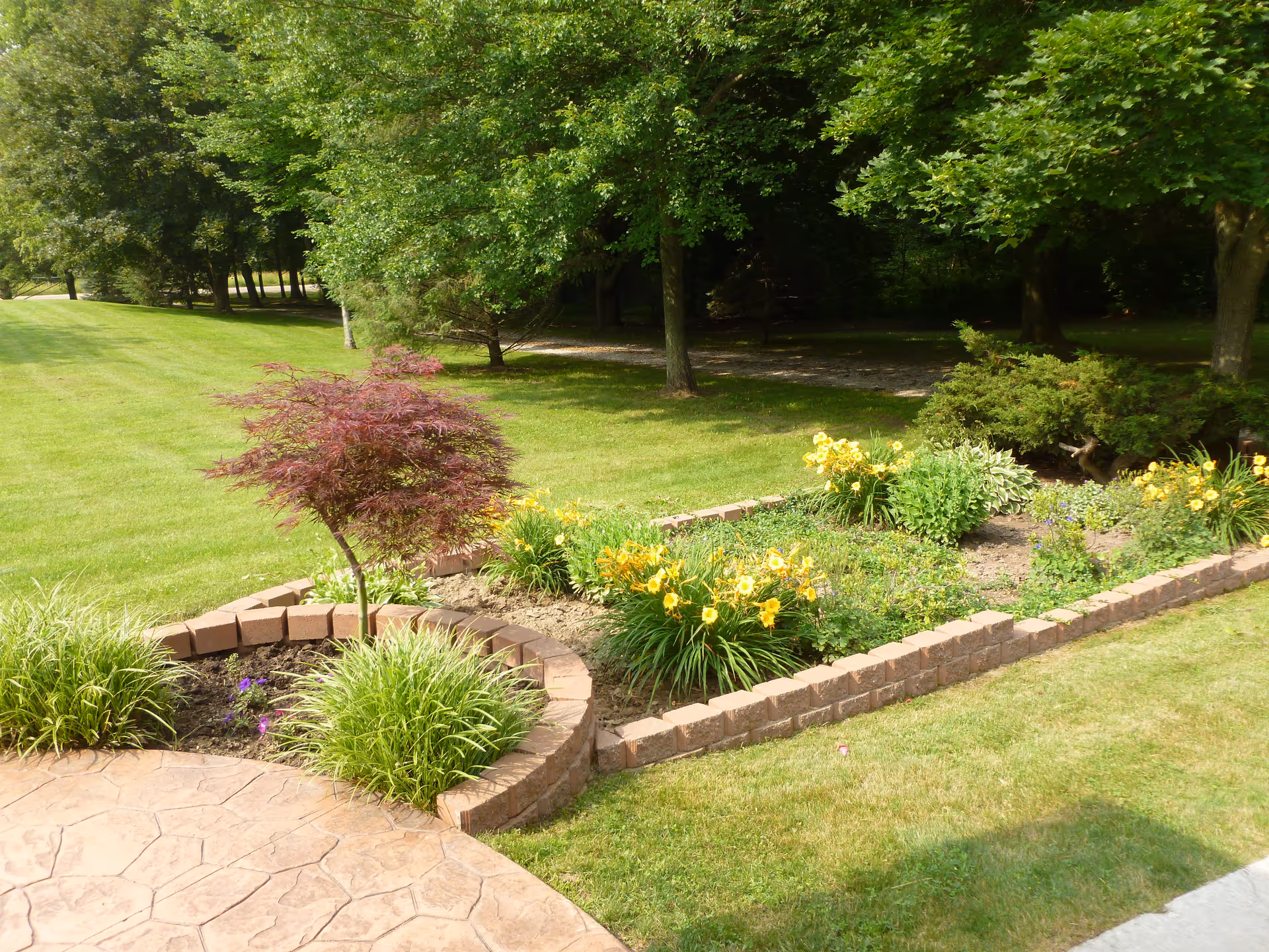 A landscaped garden area with a small tree, yellow flowers, and green shrubs bordered by a low brick wall. The garden is adjacent to a grassy lawn and a paved patio area, with tall trees in the background providing shade.