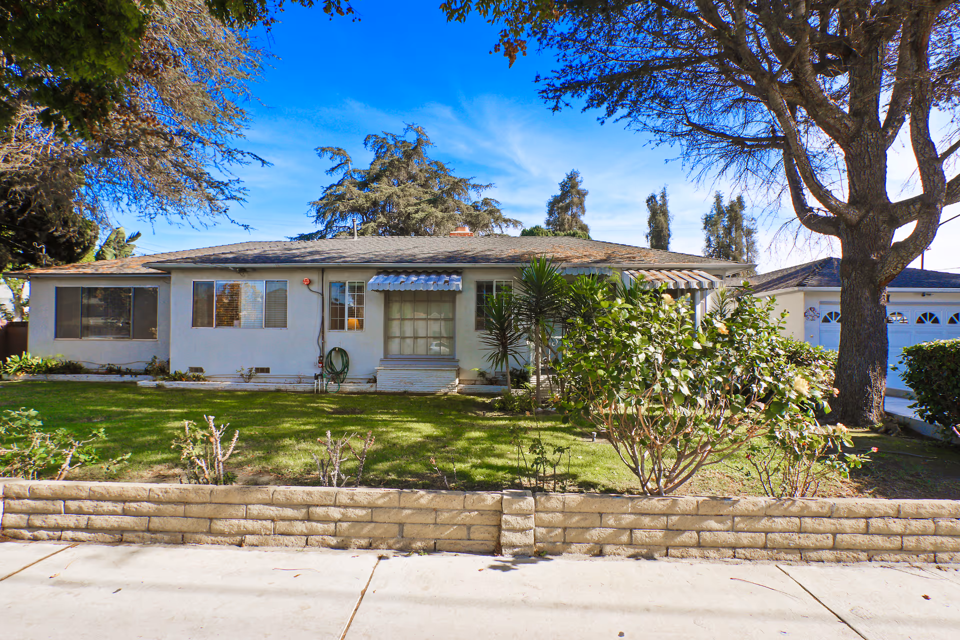Single-story building with manicured lawn, shrubs, and a large tree in front.